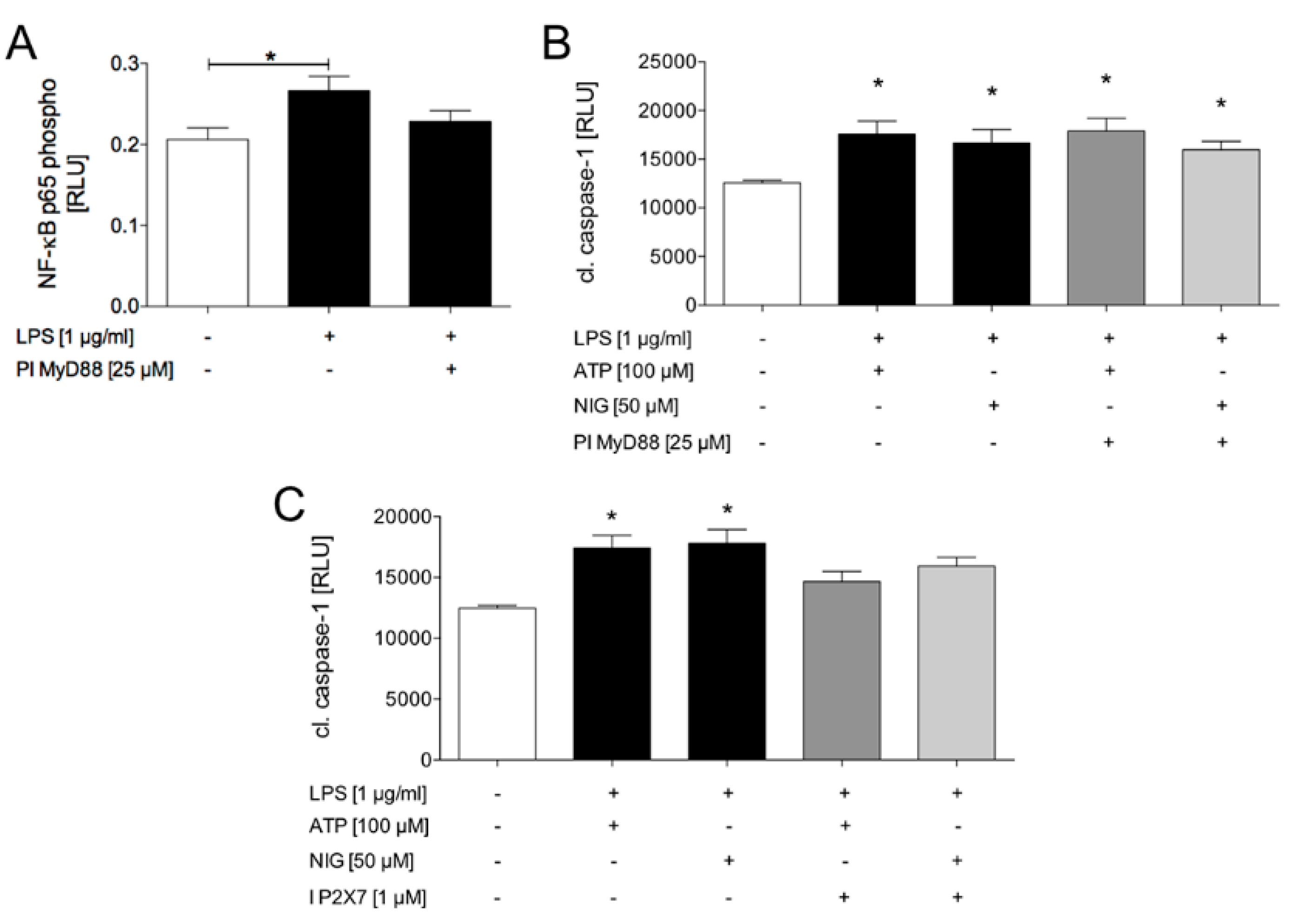 Ijms 21 03196 g005 Ijms 21 03196 g005