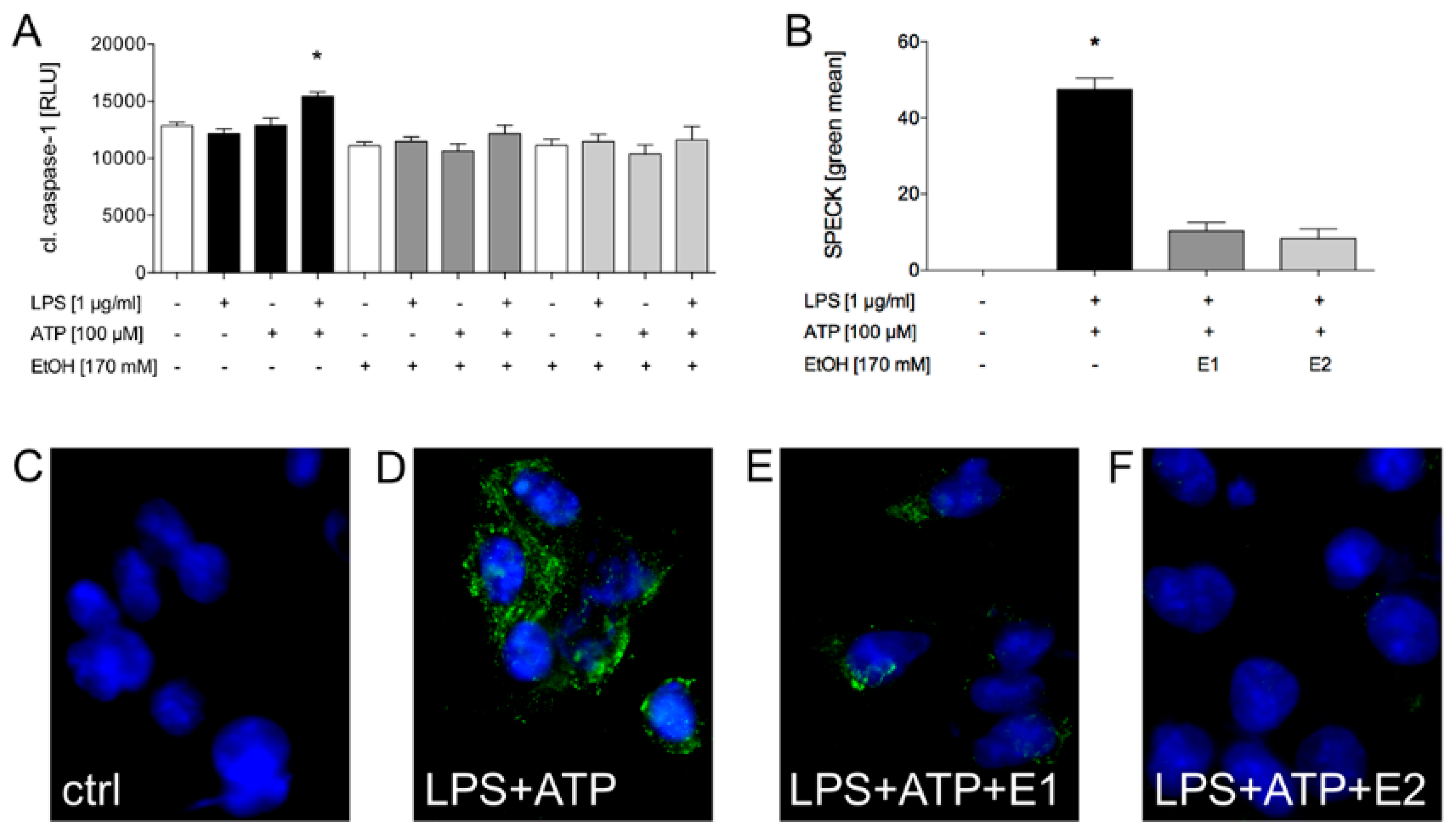 Ijms 21 03196 g006 Ijms 21 03196 g006