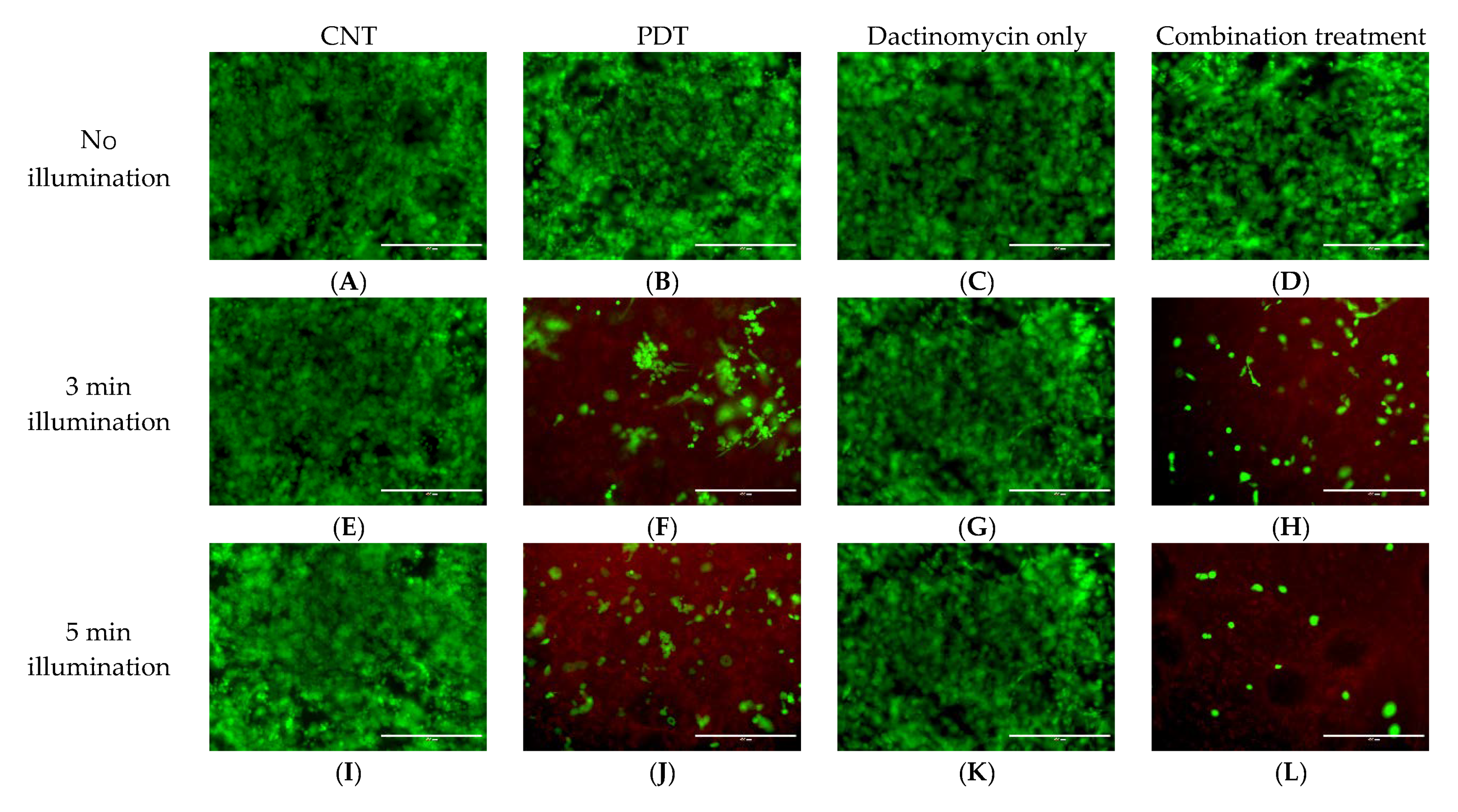 Ijms 21 03203 g008a Ijms 21 03203 g008a