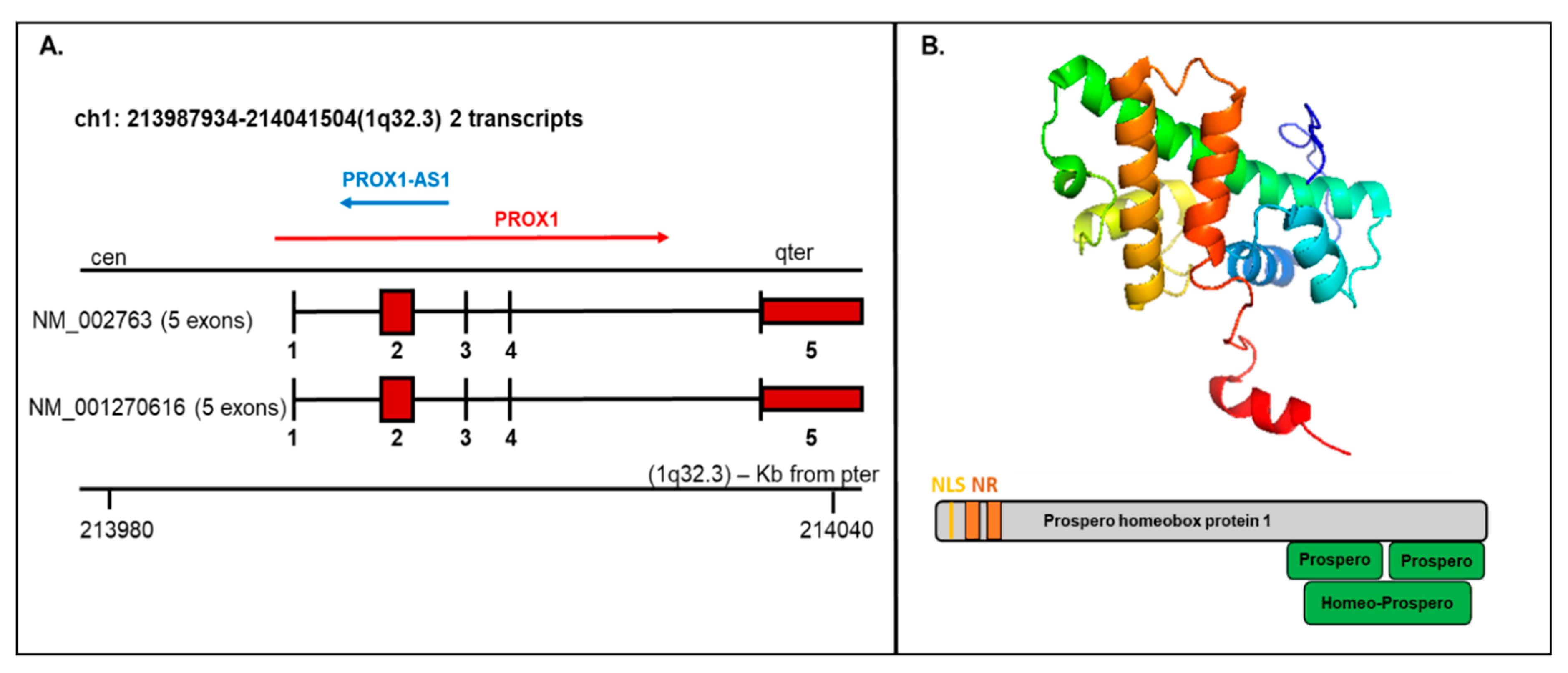 Ijms 21 03220 g002 Ijms 21 03220 g002