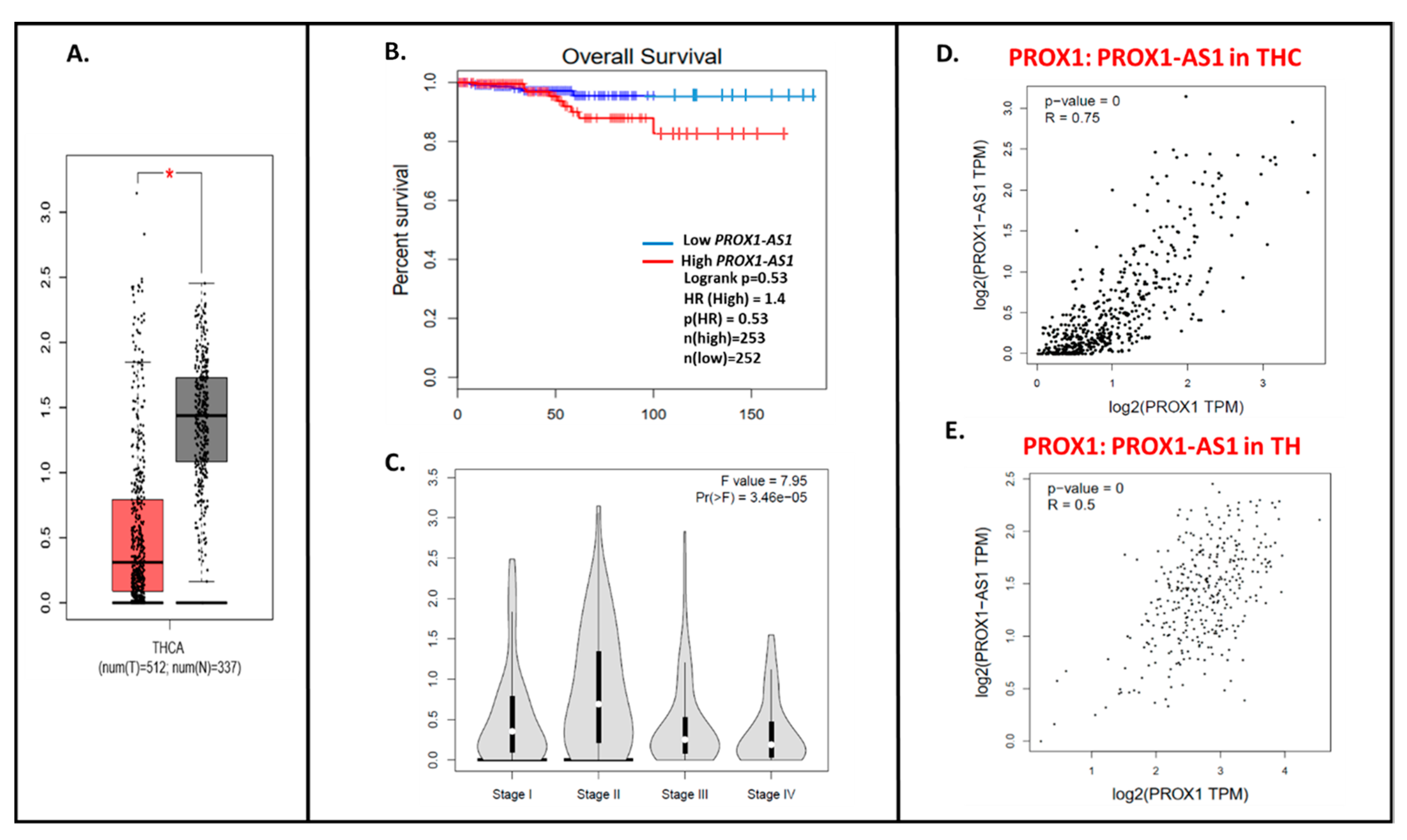 Ijms 21 03220 g005 Ijms 21 03220 g005