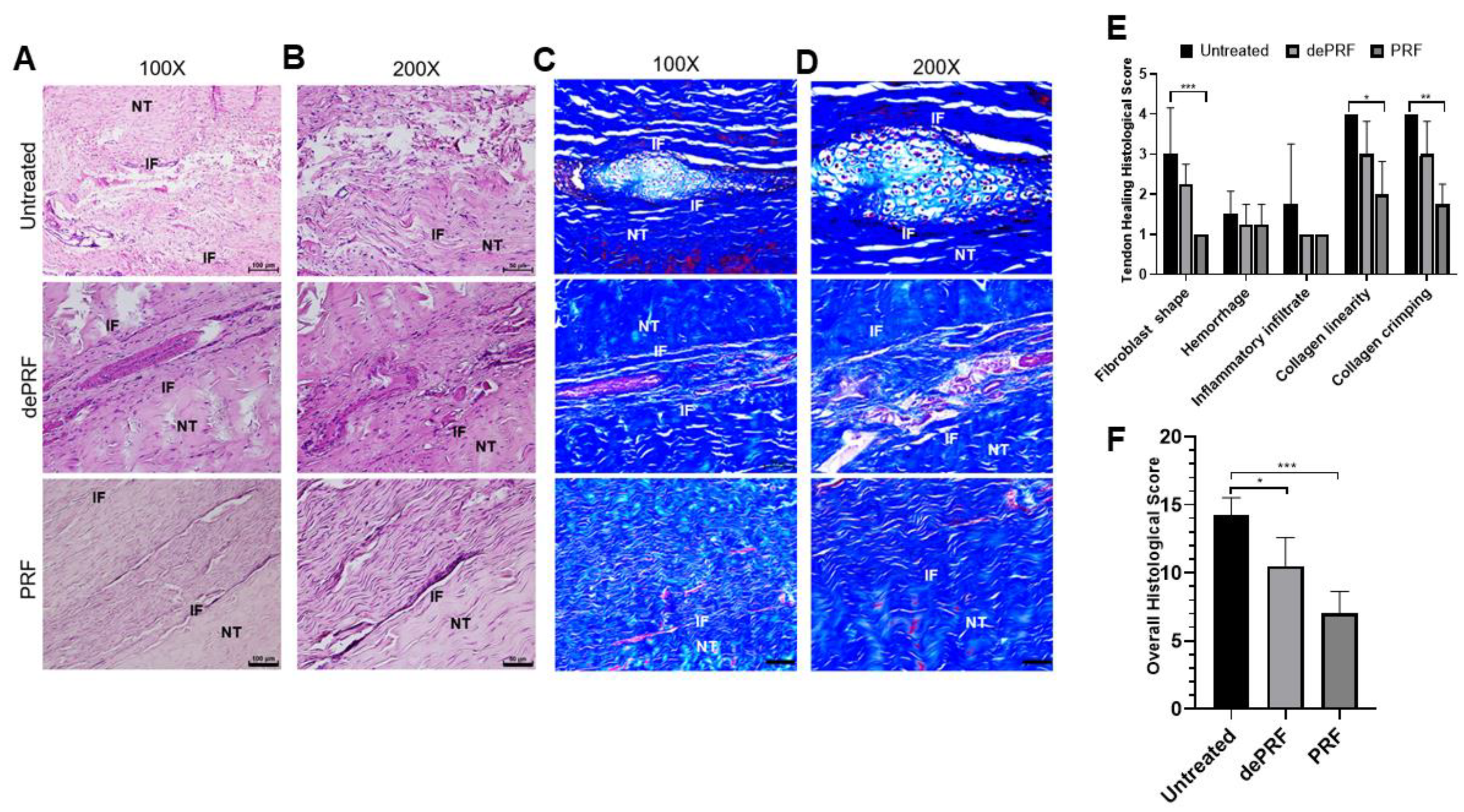 Ijms 21 03221 g006 Ijms 21 03221 g006