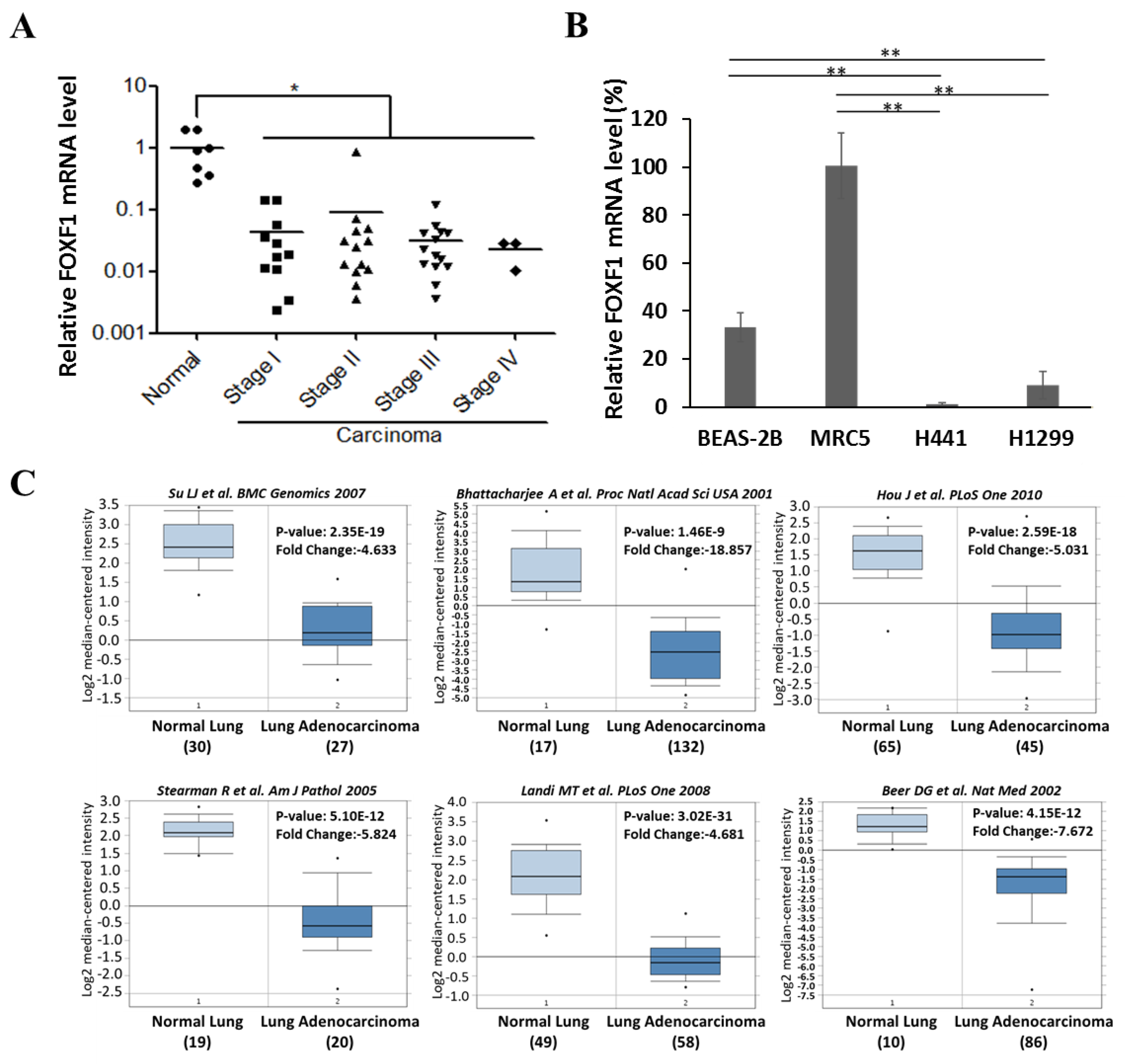Ijms 21 03227 g001 Ijms 21 03227 g001