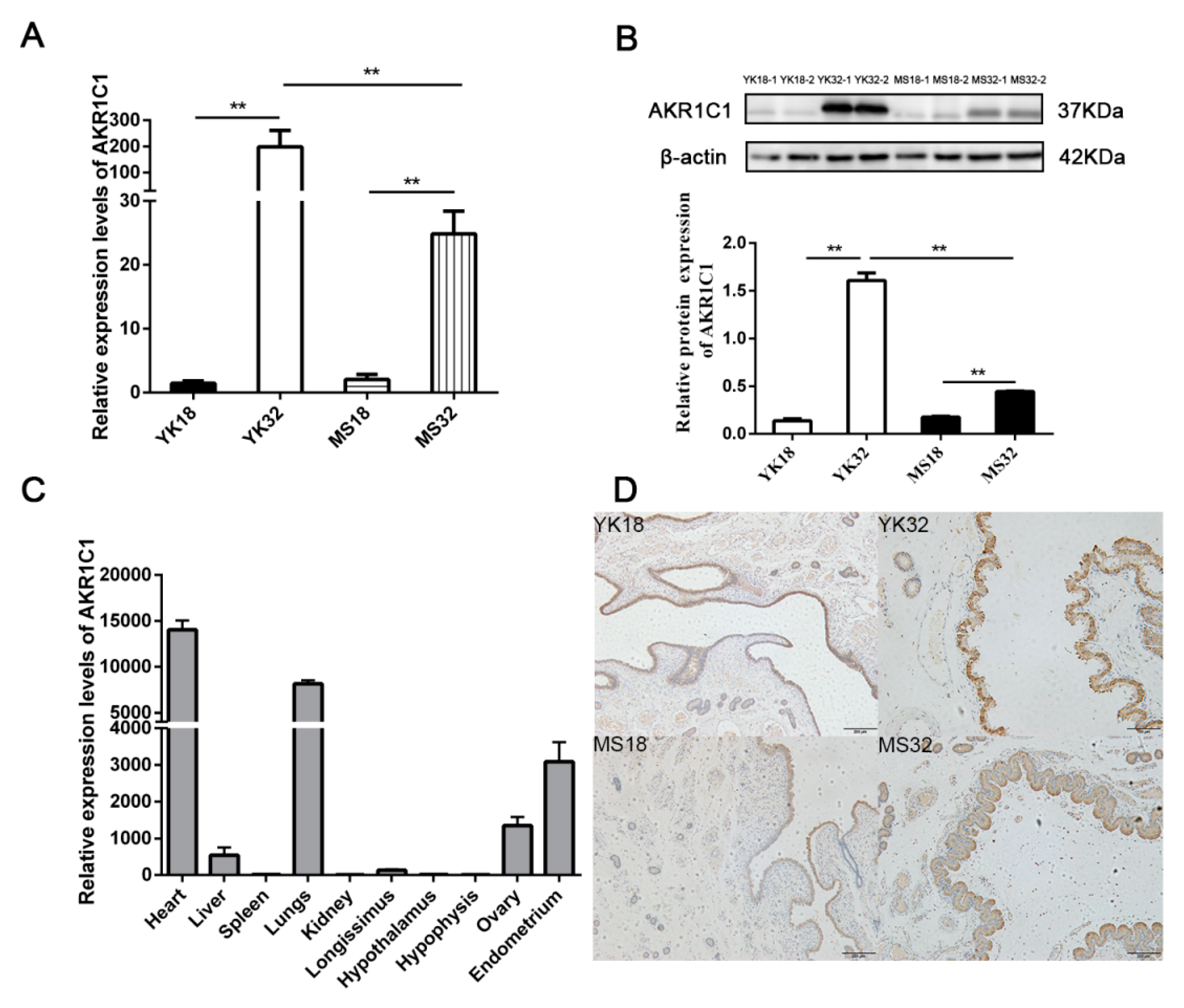 Ijms 21 03232 g002 Ijms 21 03232 g002