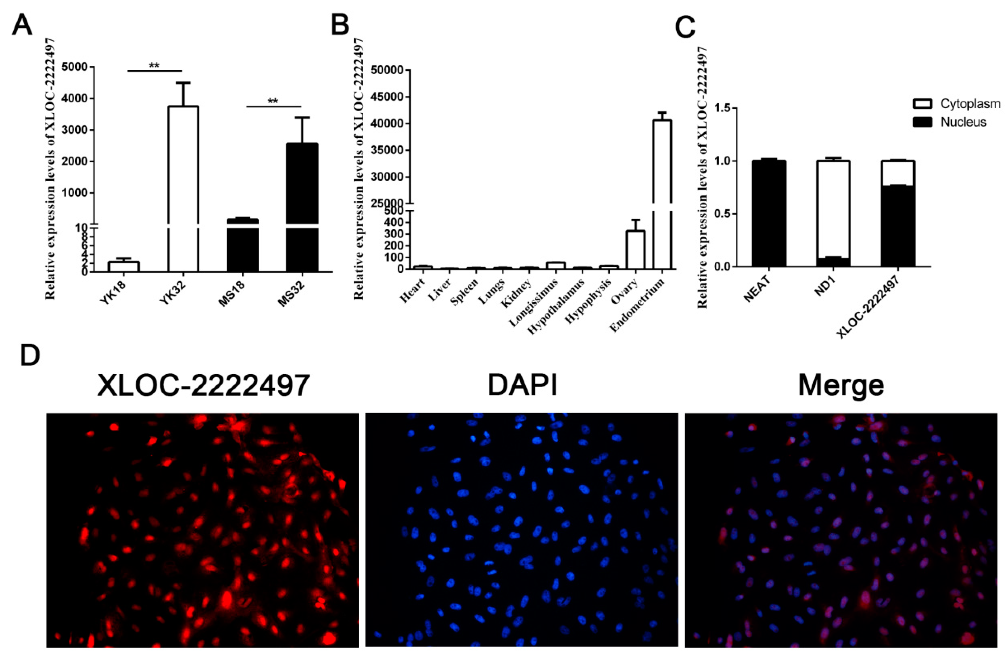 Ijms 21 03232 g004 Ijms 21 03232 g004