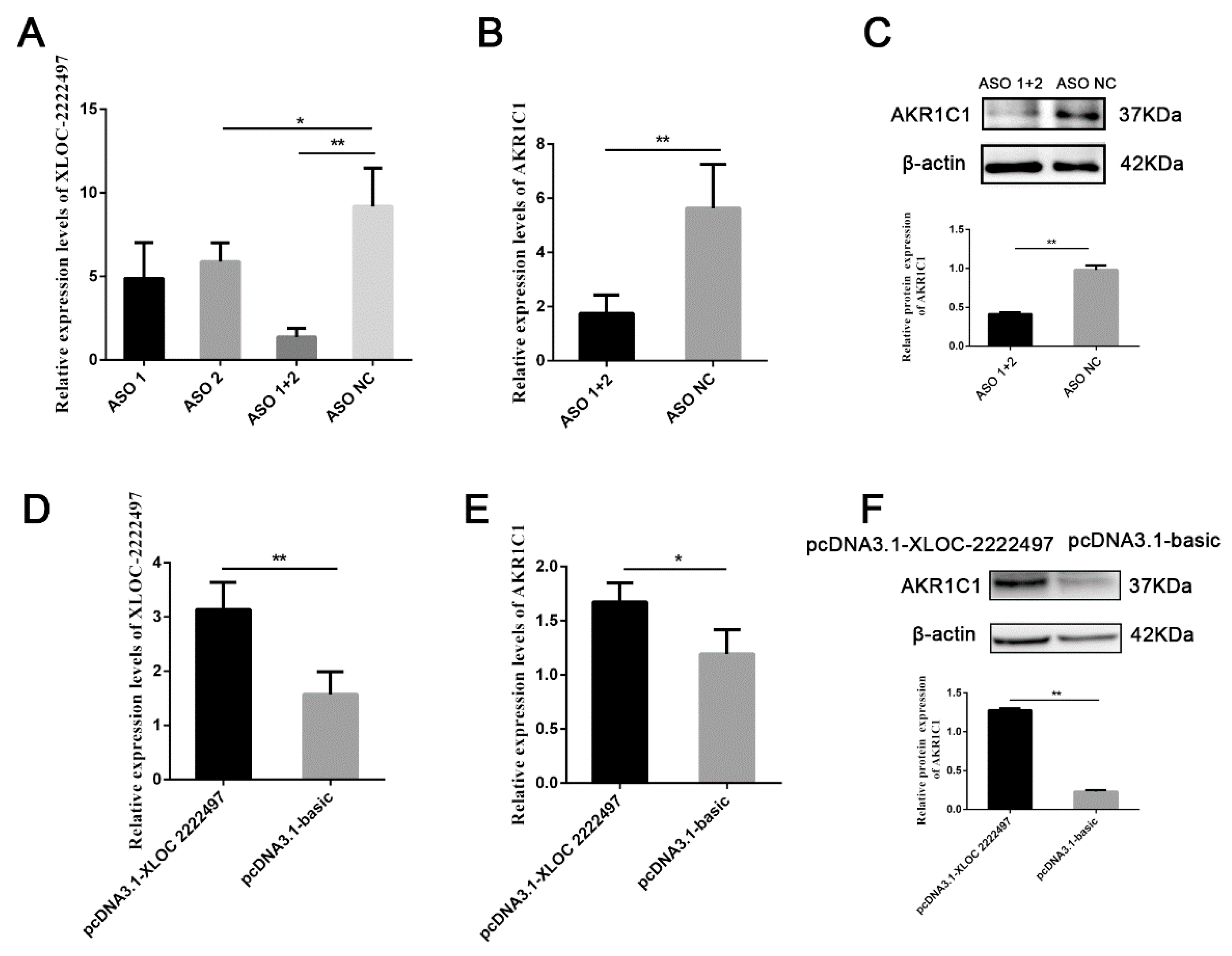 Ijms 21 03232 g005 Ijms 21 03232 g005