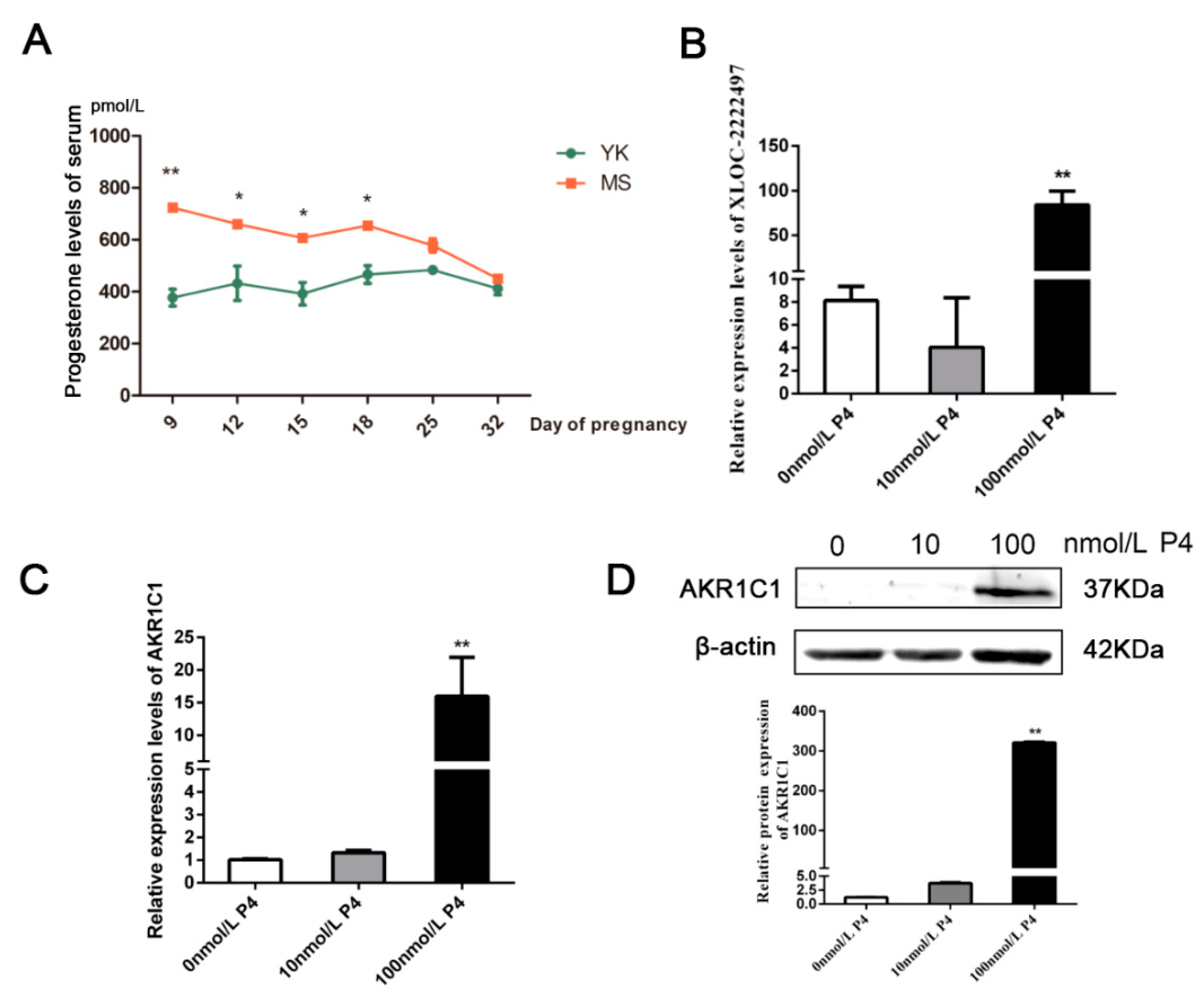 Ijms 21 03232 g006 Ijms 21 03232 g006
