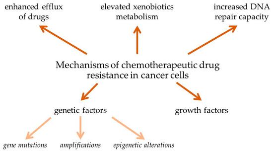 Flaws in a tumor's genetic mending kit drive treatment response to immunotherapy -- ScienceDaily