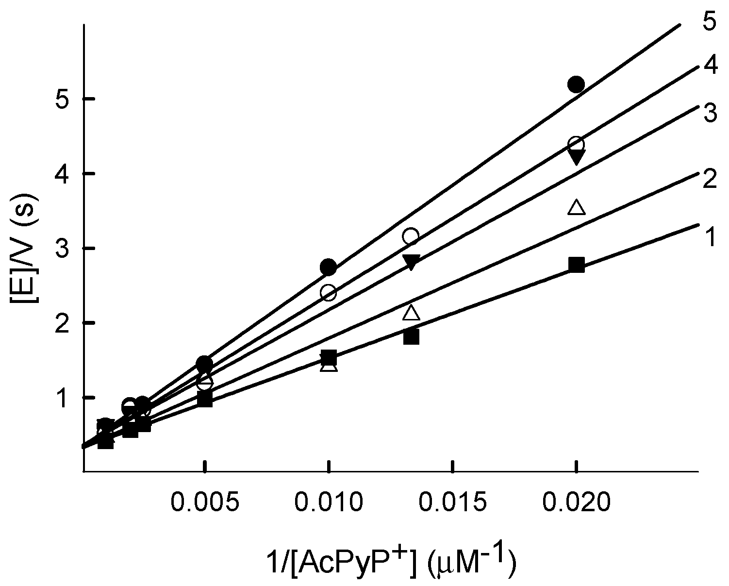 Ijms 21 03234 g003 Ijms 21 03234 g003