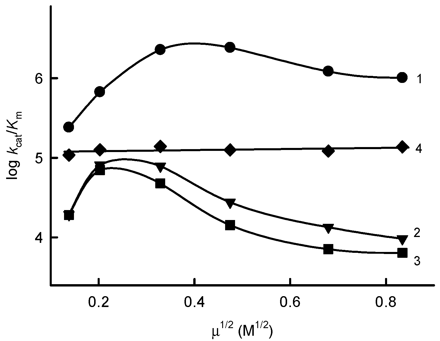 Ijms 21 03234 g004 Ijms 21 03234 g004