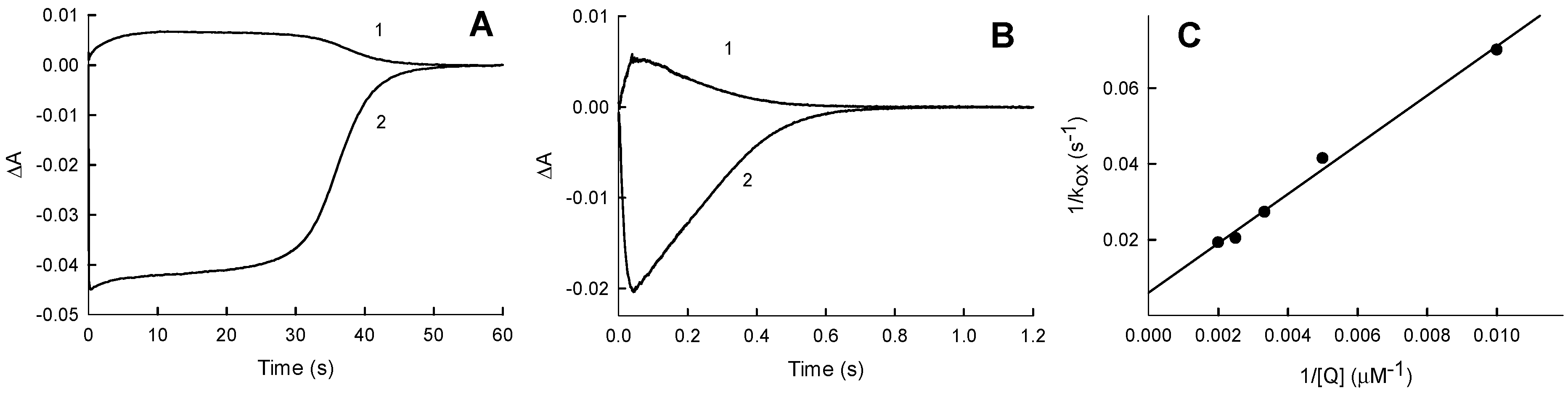 Ijms 21 03234 g005 Ijms 21 03234 g005