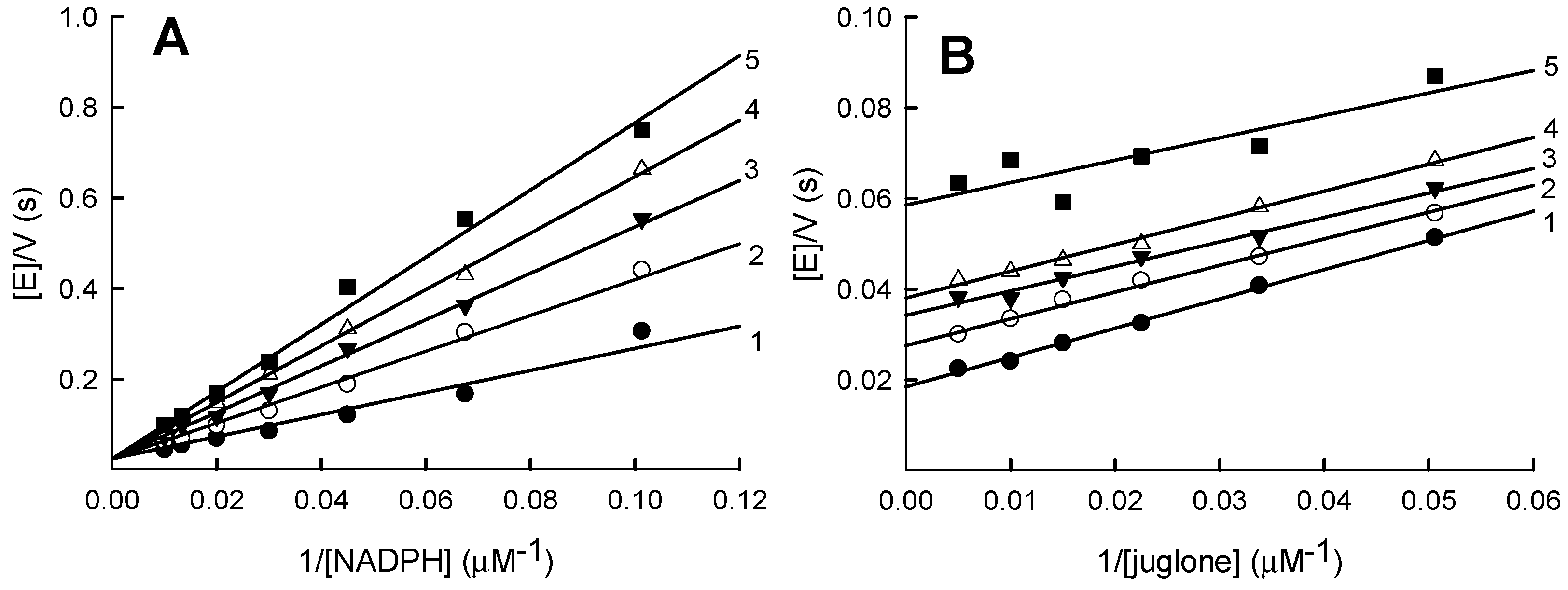 Ijms 21 03234 g006 Ijms 21 03234 g006