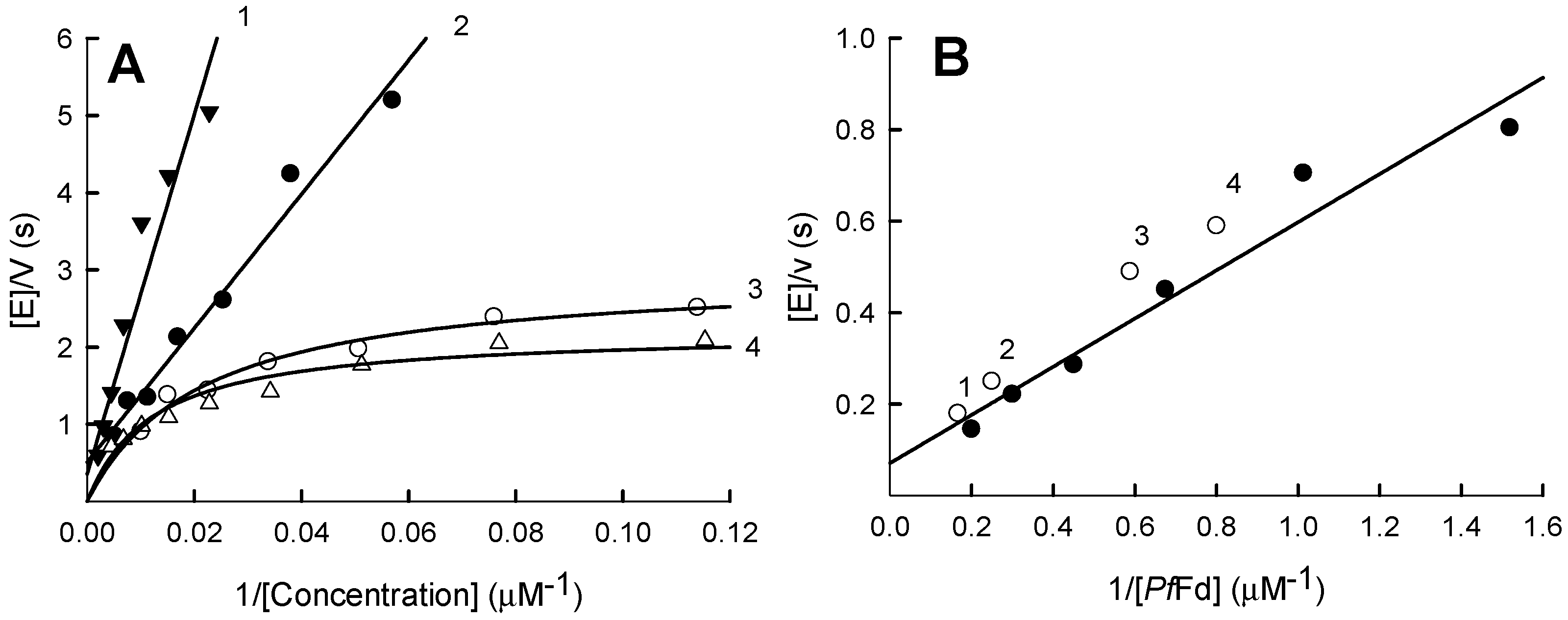 Ijms 21 03234 g007 Ijms 21 03234 g007