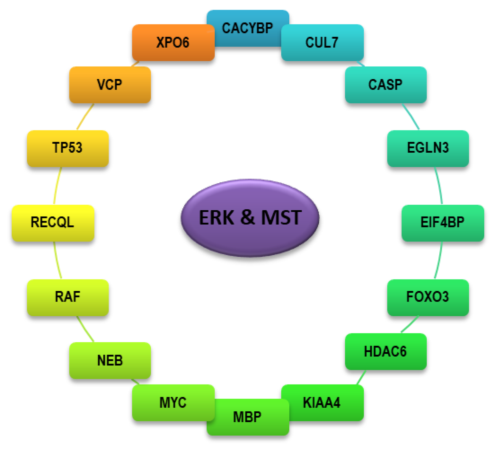 Ijms 21 03236 g002 Ijms 21 03236 g002