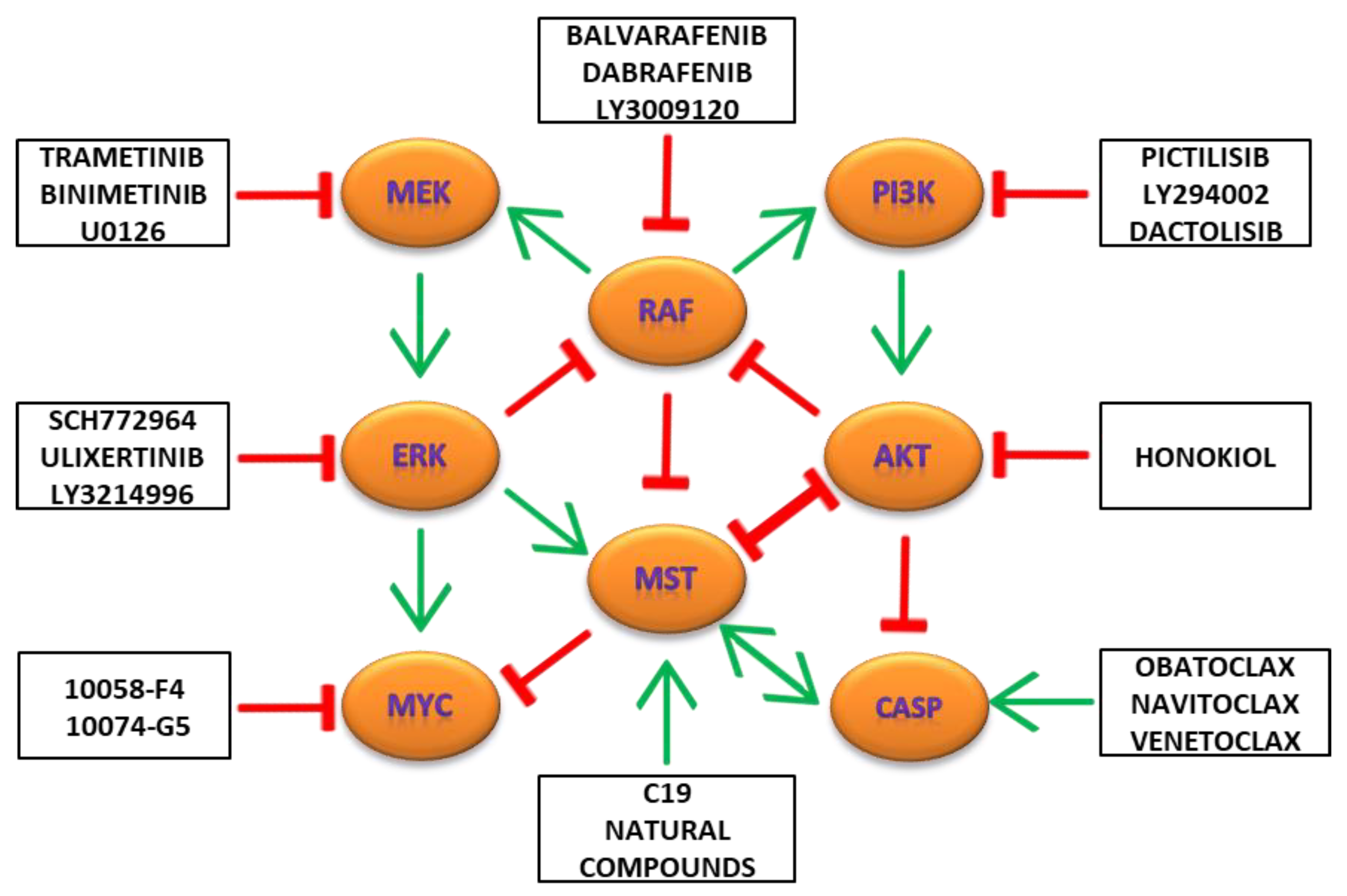 Ijms 21 03236 g004 Ijms 21 03236 g004