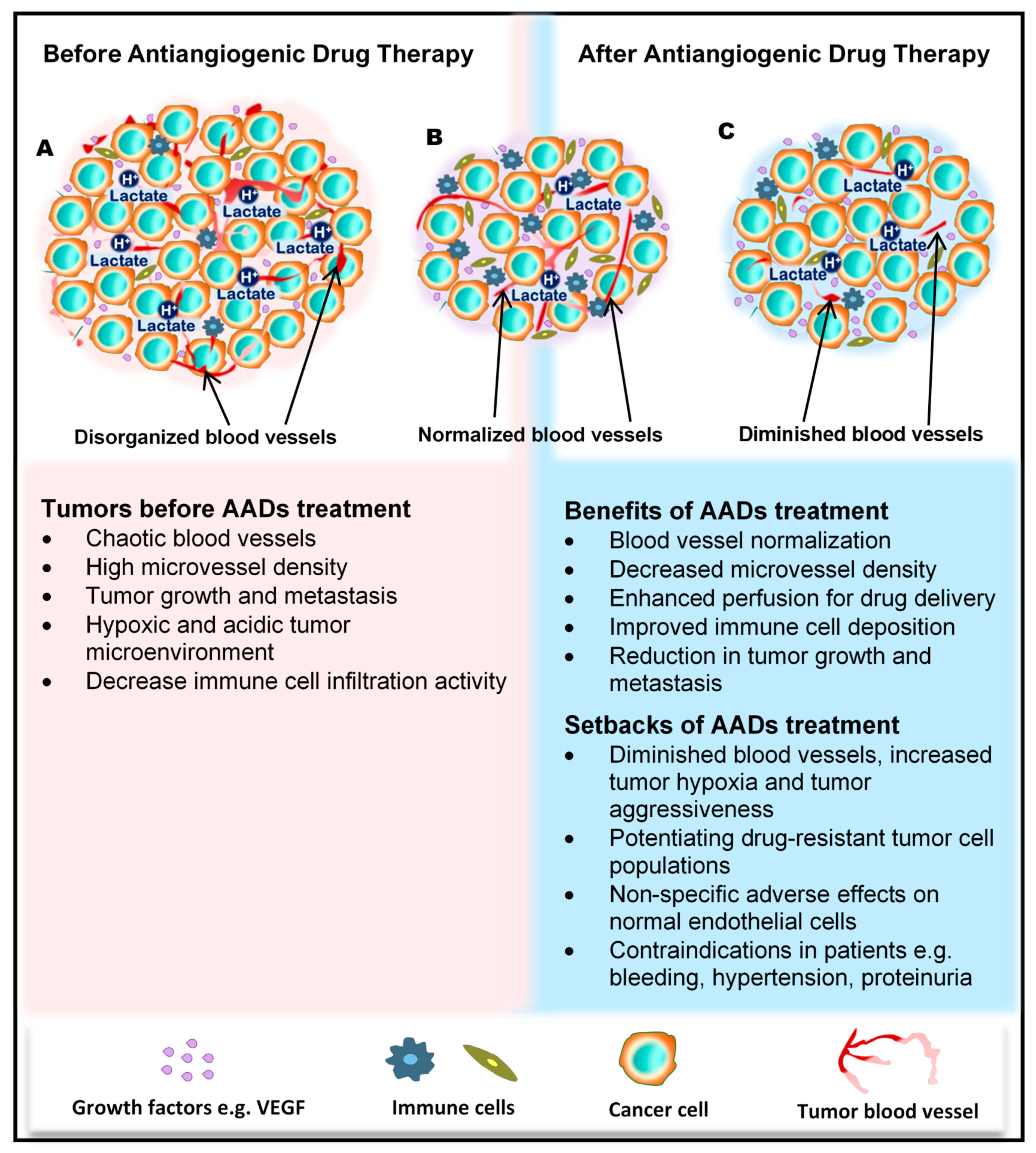 Ijms 21 03238 g001 Ijms 21 03238 g001