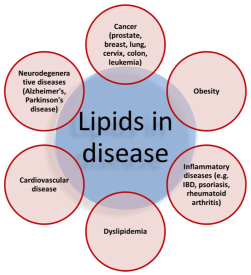 IJMS Free FullText Lipids and LipidProcessing Pathways in Drug
