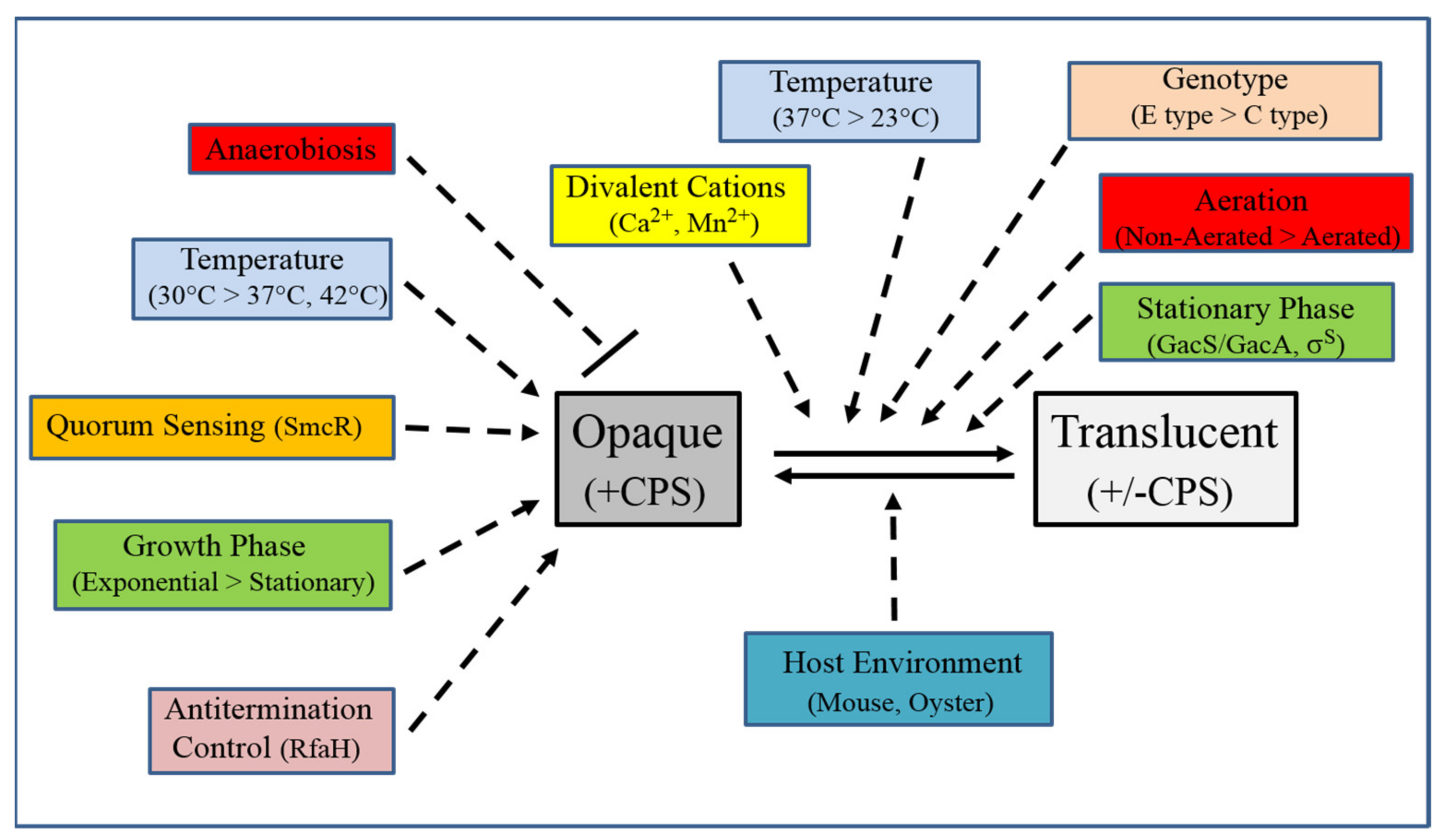 Ijms 21 03259 g003 Ijms 21 03259 g003
