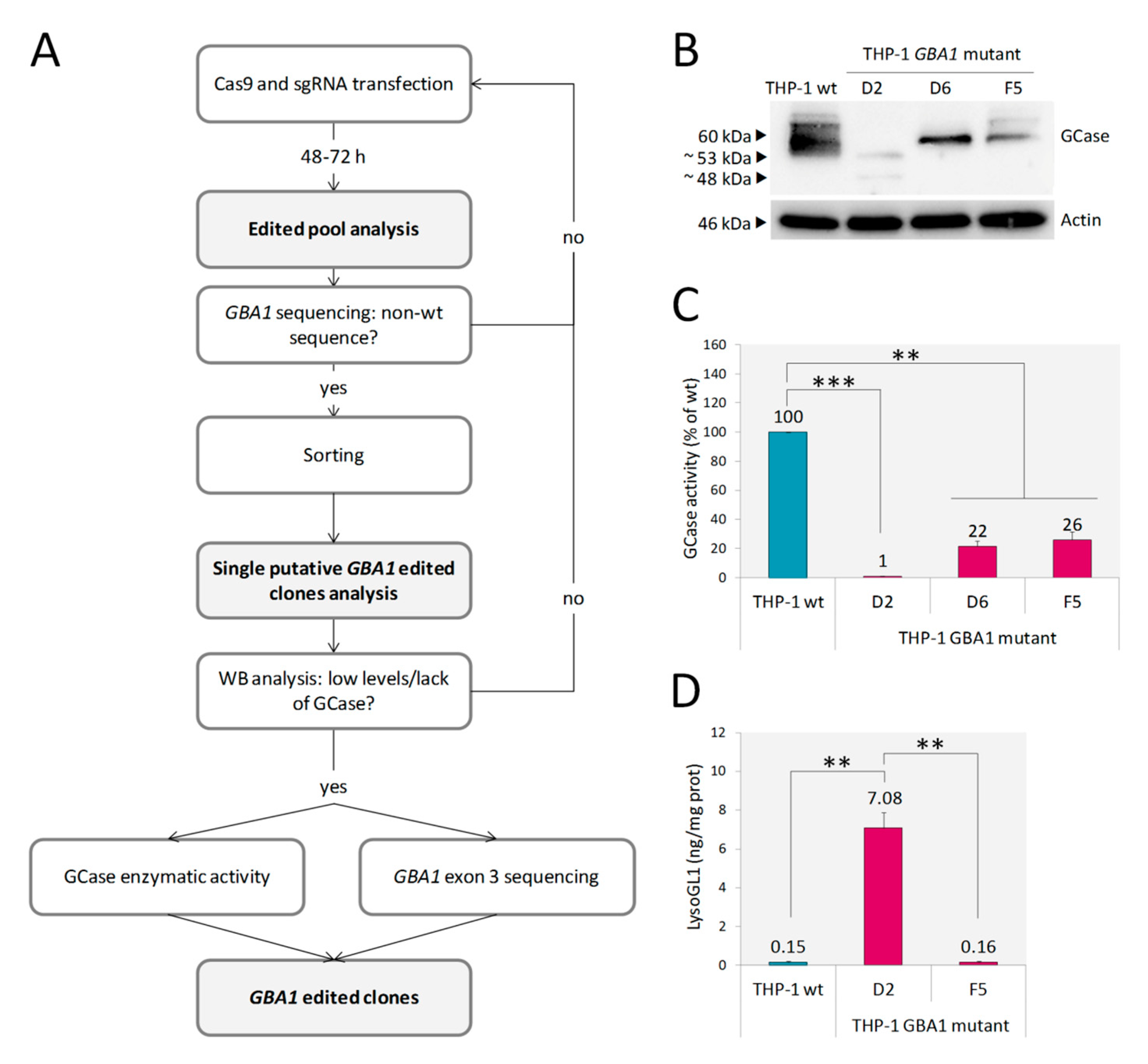 Ijms 21 03268 g001 Ijms 21 03268 g001