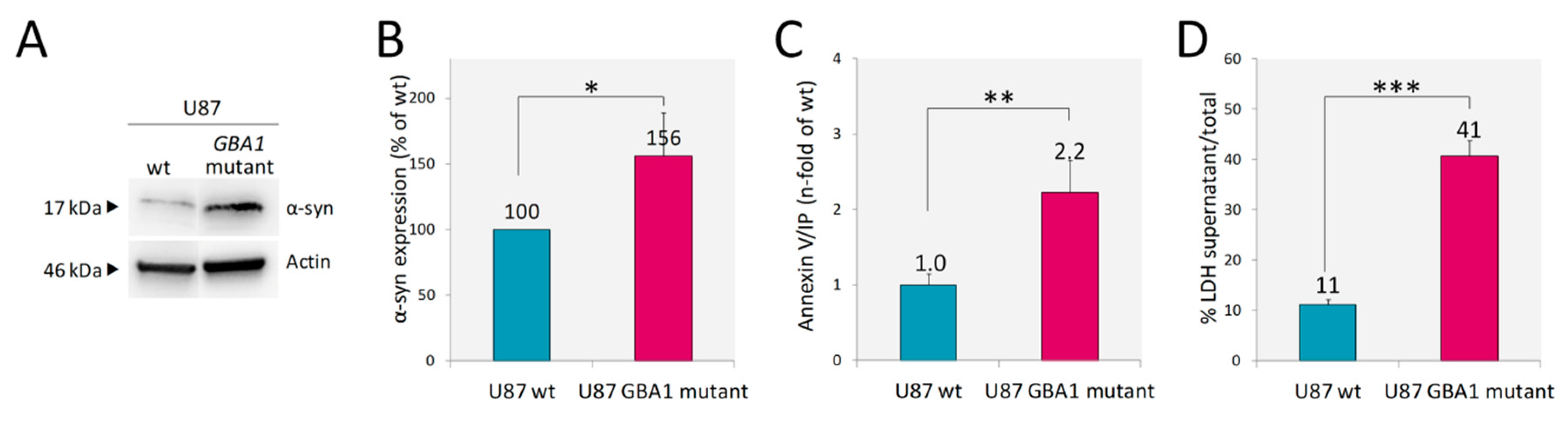 Ijms 21 03268 g004 Ijms 21 03268 g004