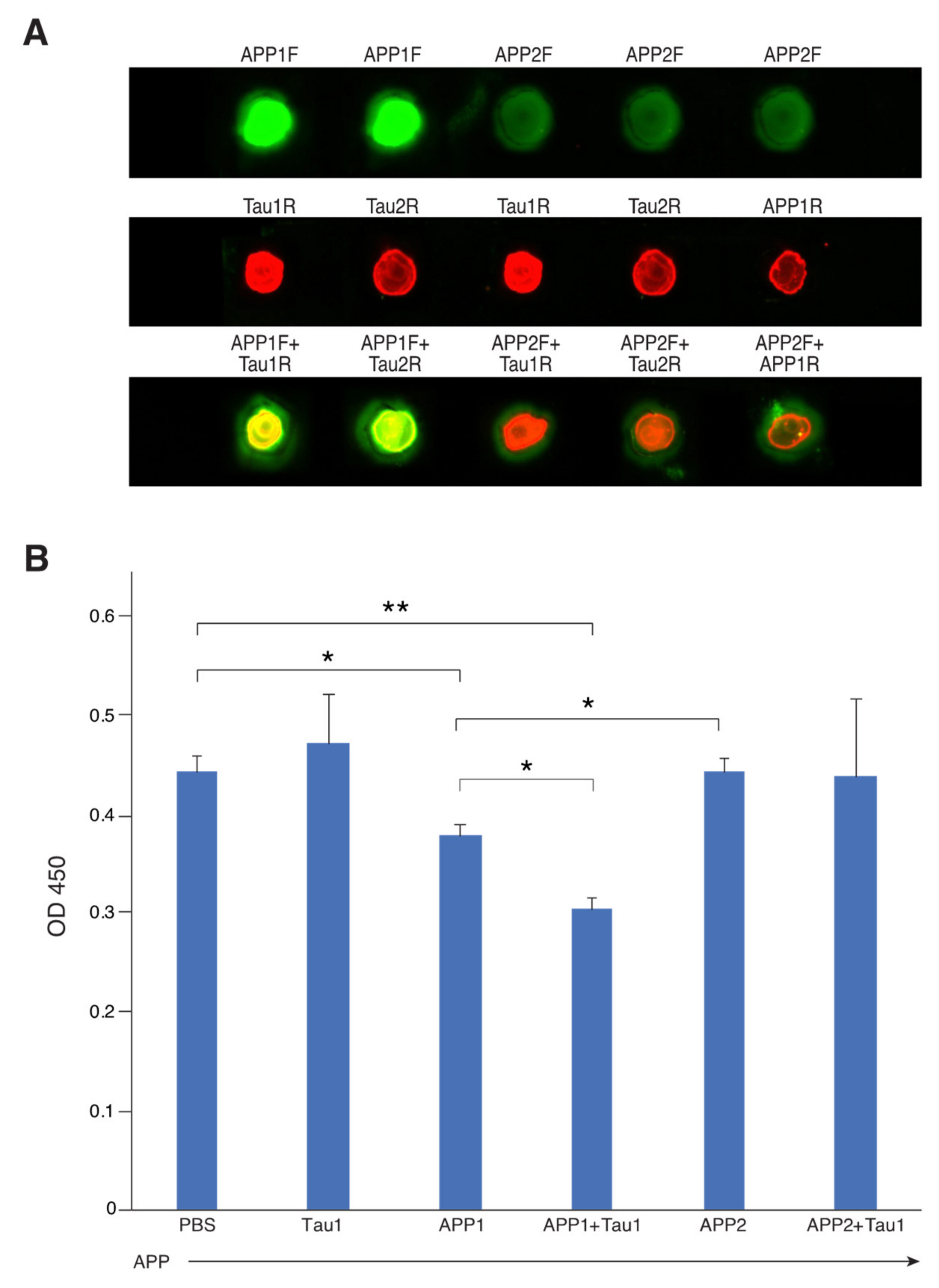 Ijms 21 03270 g002 Ijms 21 03270 g002