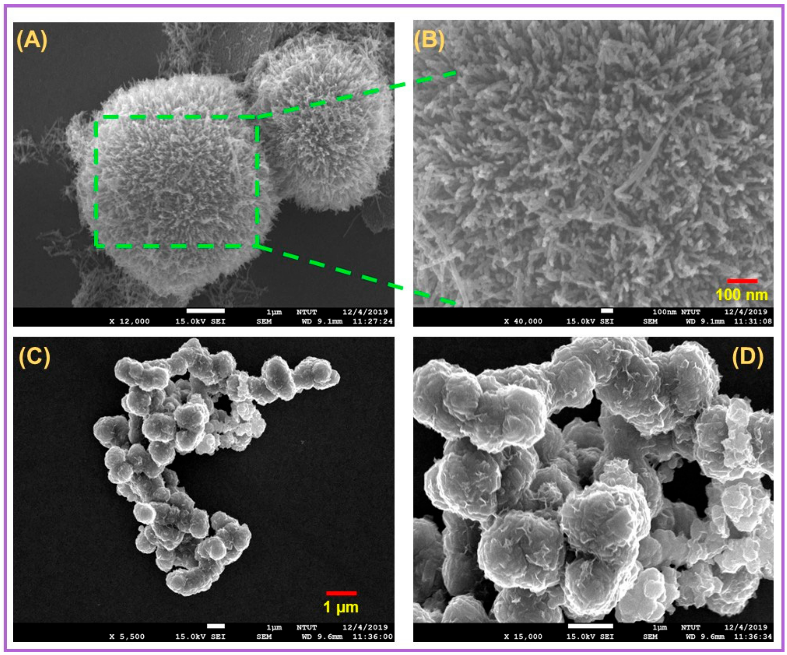 Ijms 21 03273 g001 Ijms 21 03273 g001