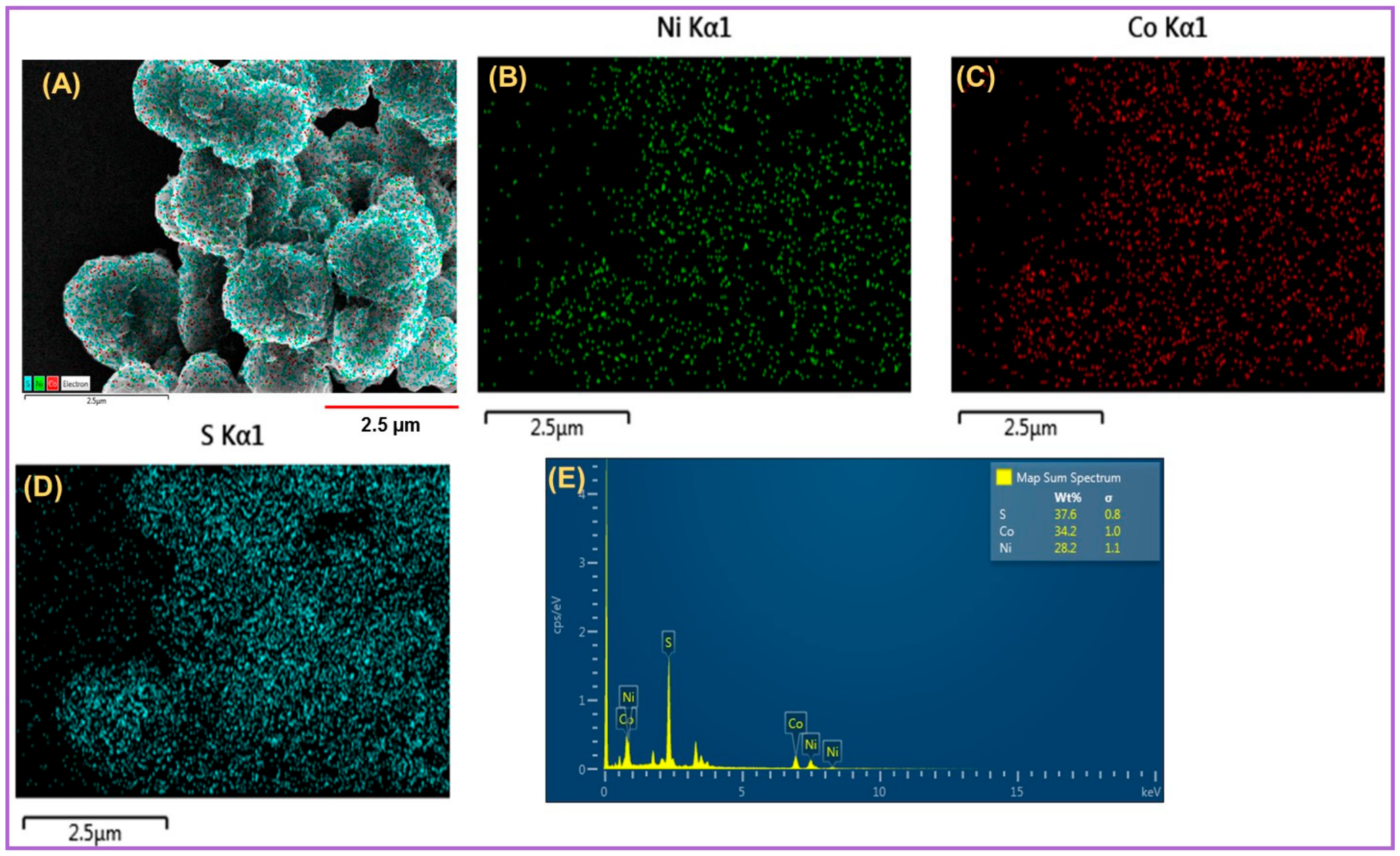 Ijms 21 03273 g002 Ijms 21 03273 g002
