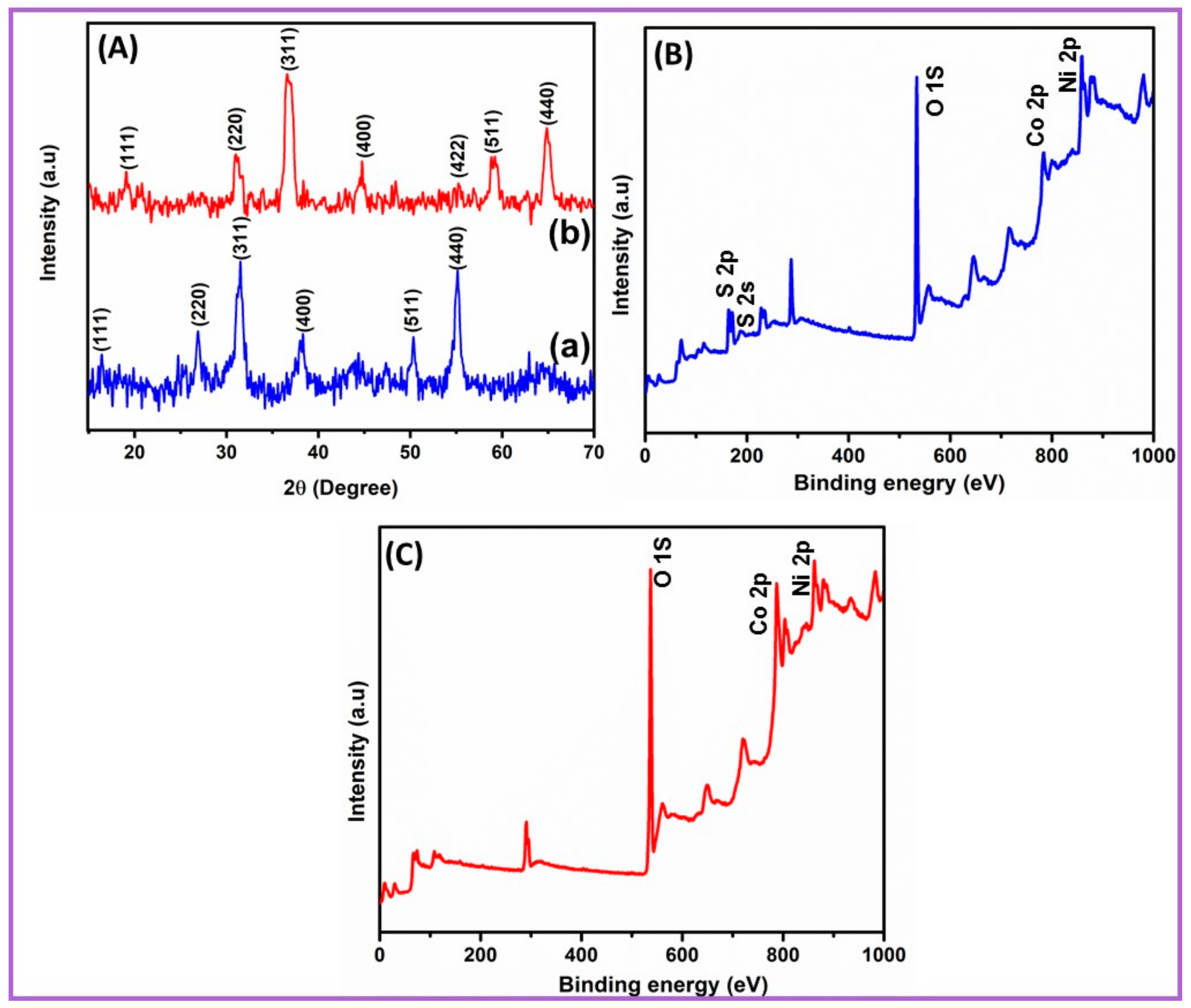 Ijms 21 03273 g003 Ijms 21 03273 g003