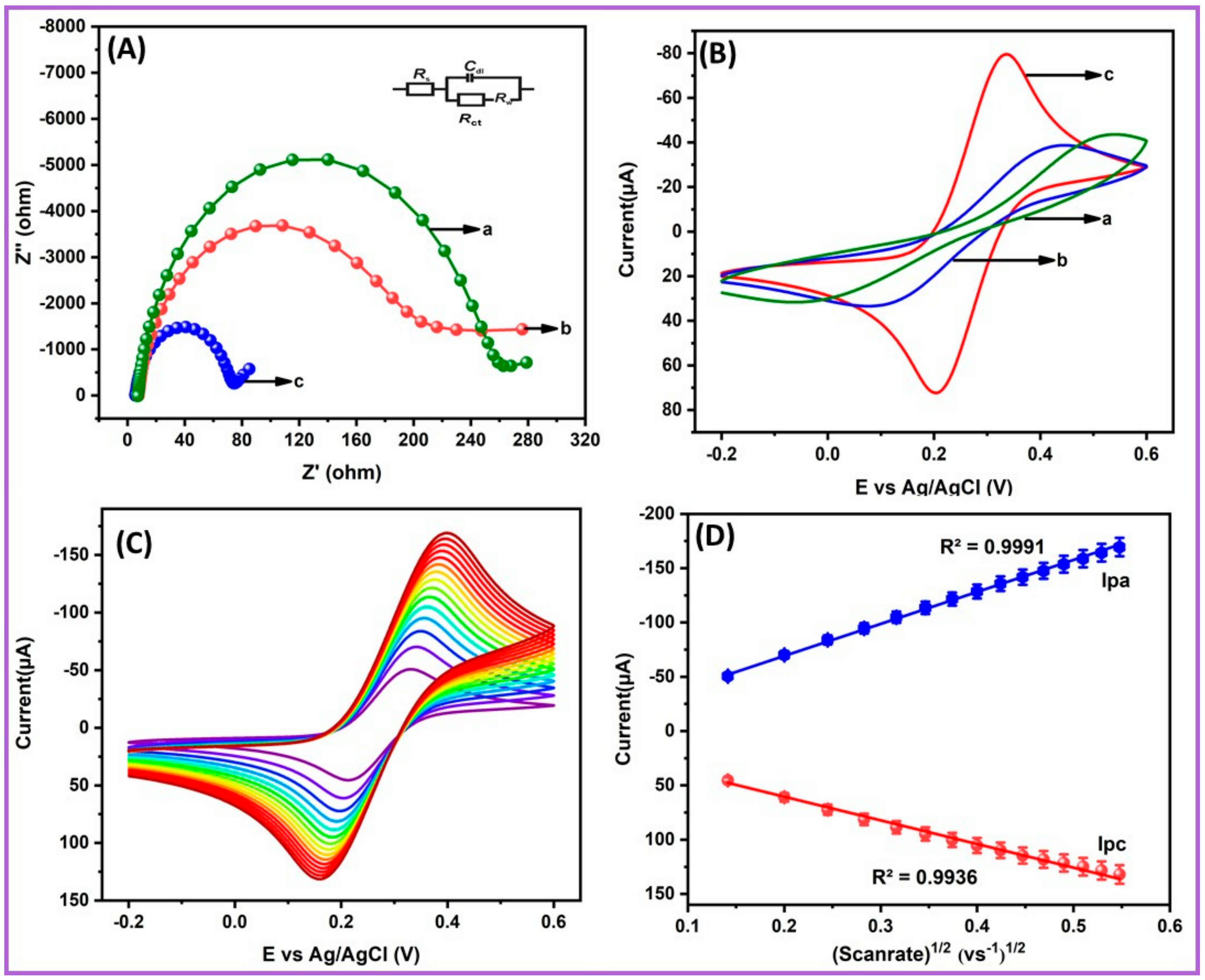 Ijms 21 03273 g004 Ijms 21 03273 g004