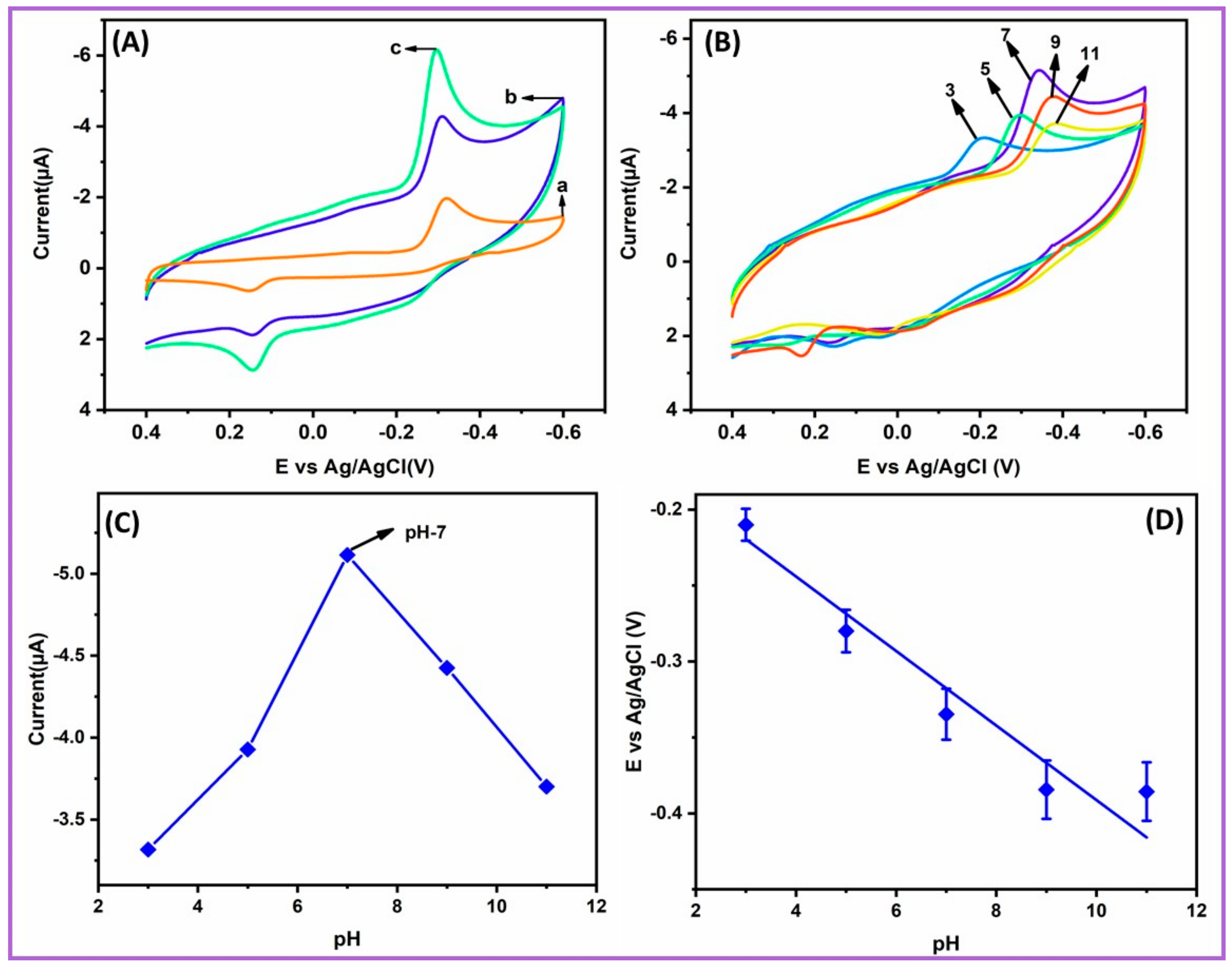 Ijms 21 03273 g005 Ijms 21 03273 g005