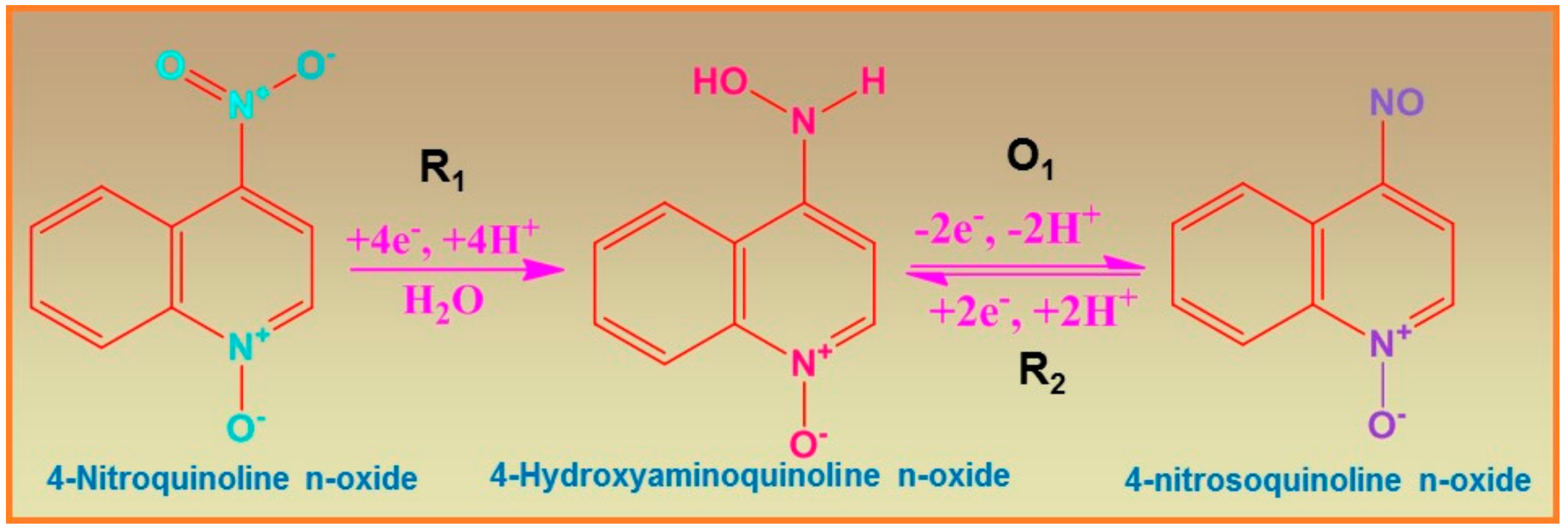 Ijms 21 03273 g006 Ijms 21 03273 g006