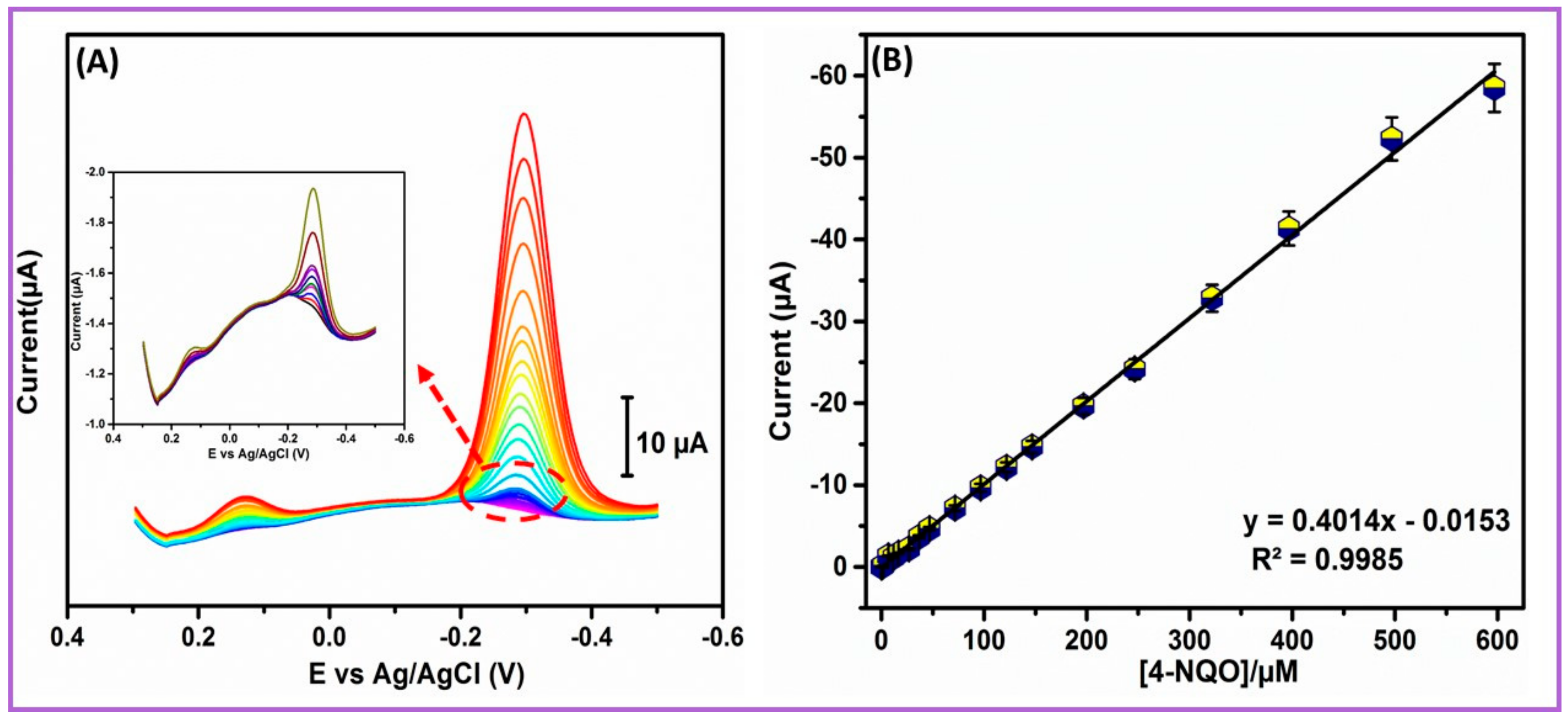 Ijms 21 03273 g008 Ijms 21 03273 g008