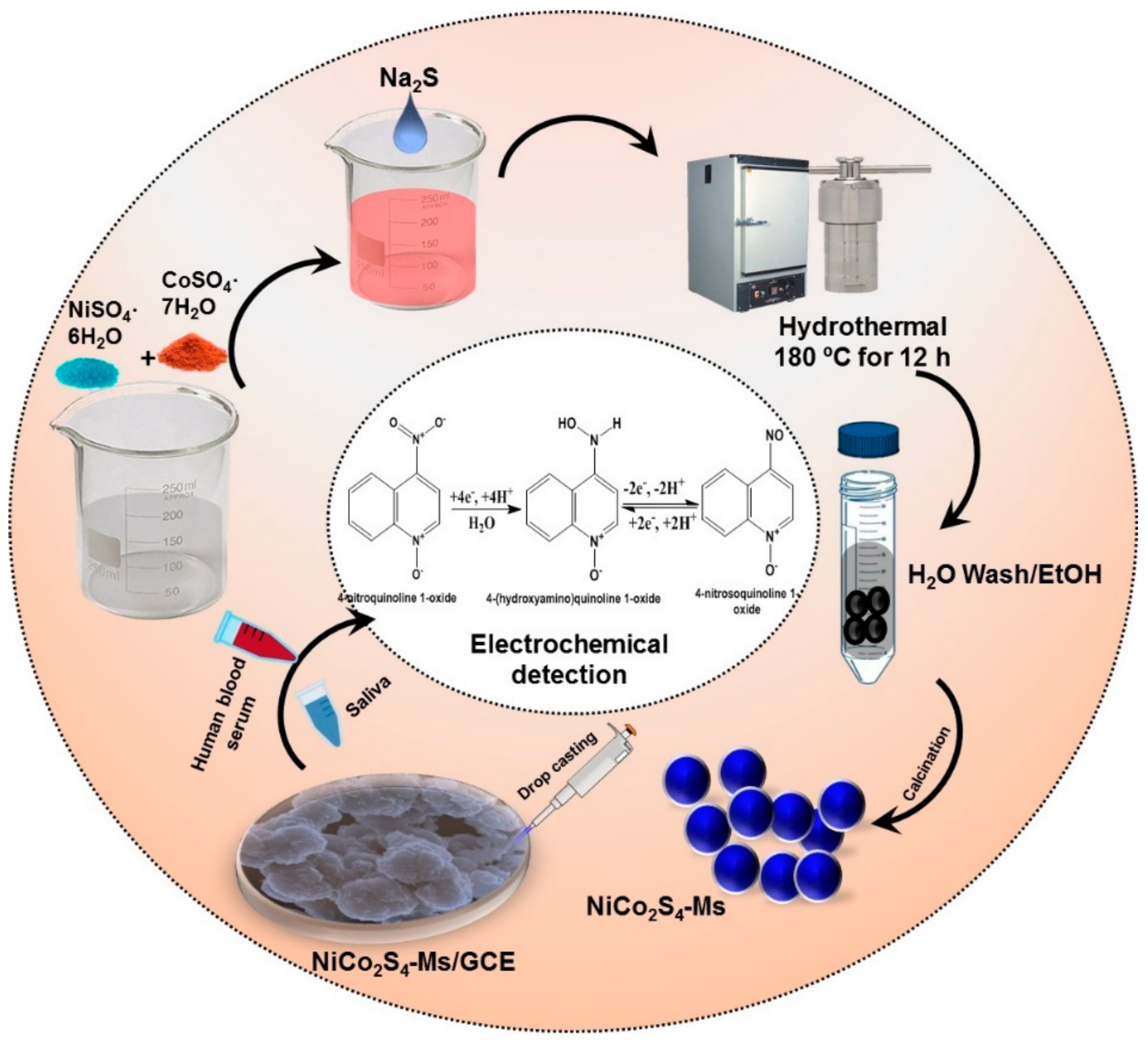 Ijms 21 03273 sch001 Ijms 21 03273 sch001