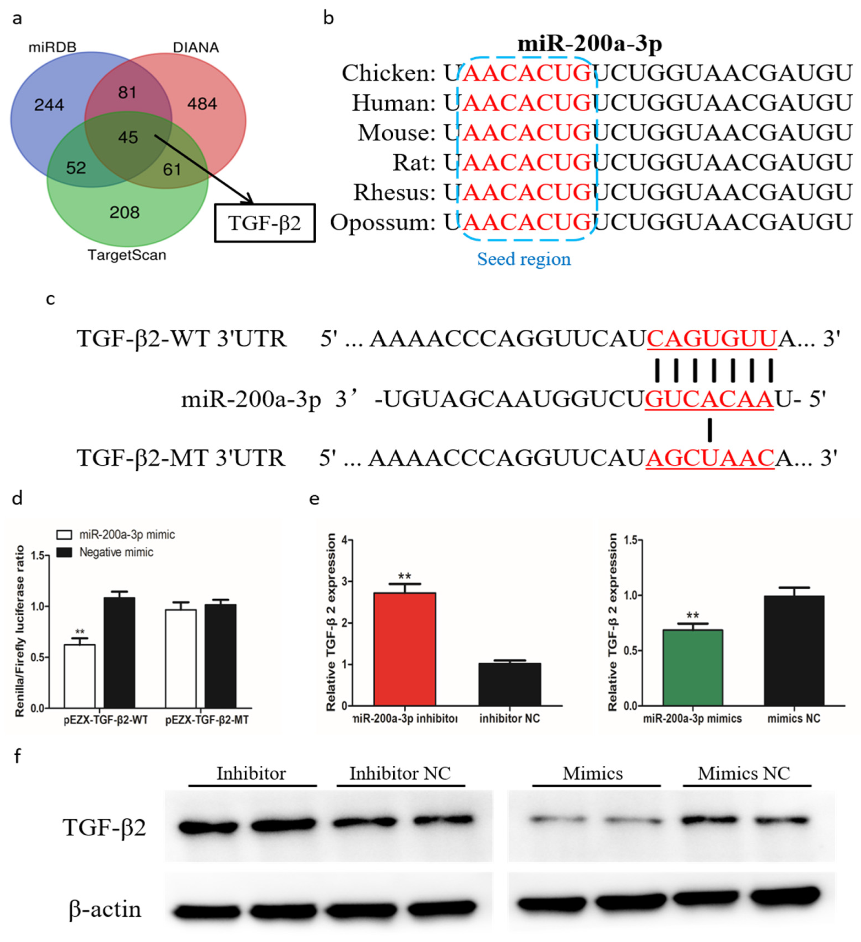 Ijms 21 03274 g007 Ijms 21 03274 g007