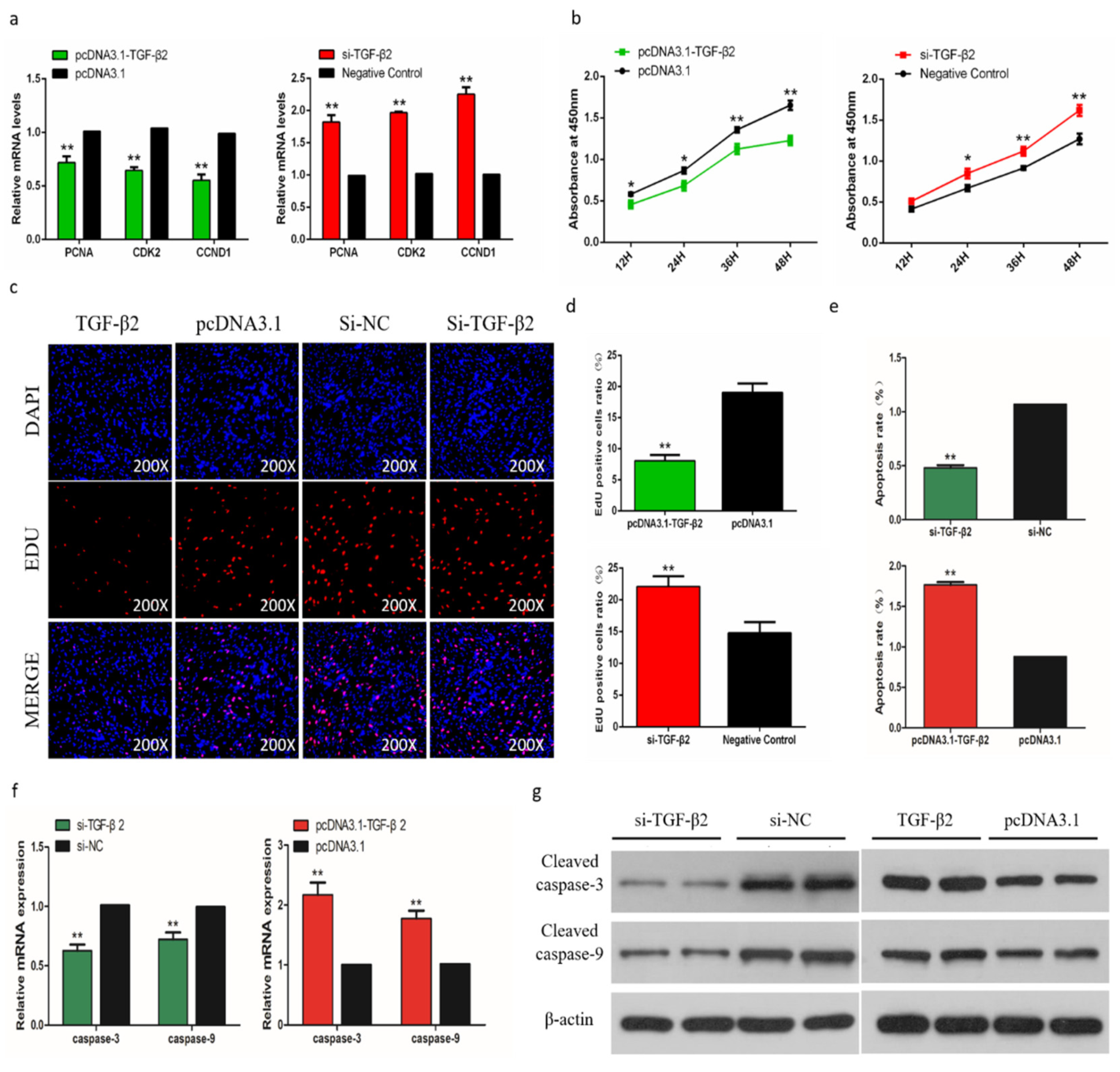 Ijms 21 03274 g009 Ijms 21 03274 g009