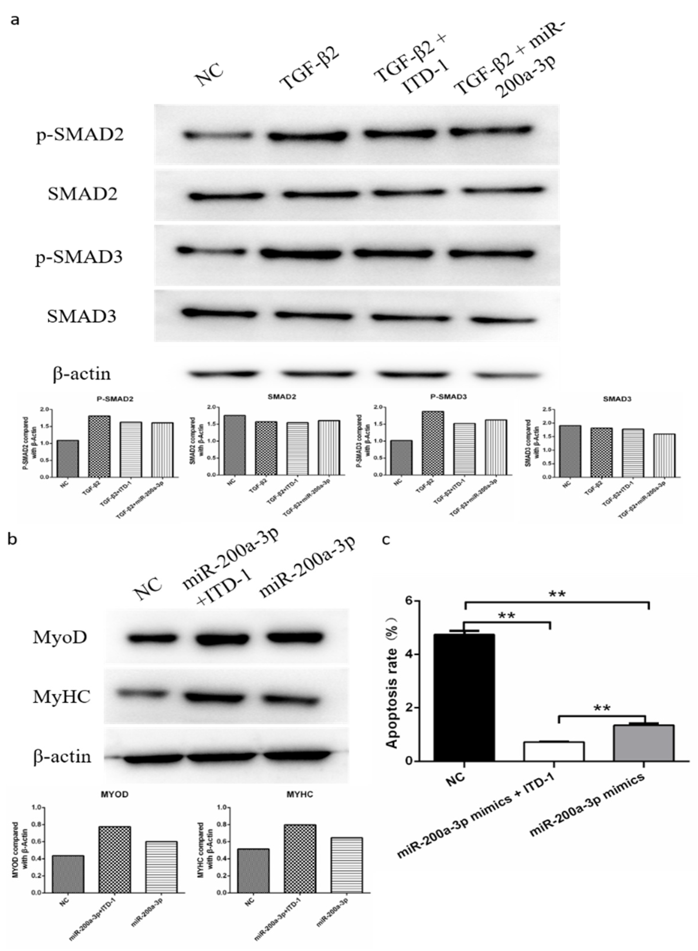 Ijms 21 03274 g010 Ijms 21 03274 g010