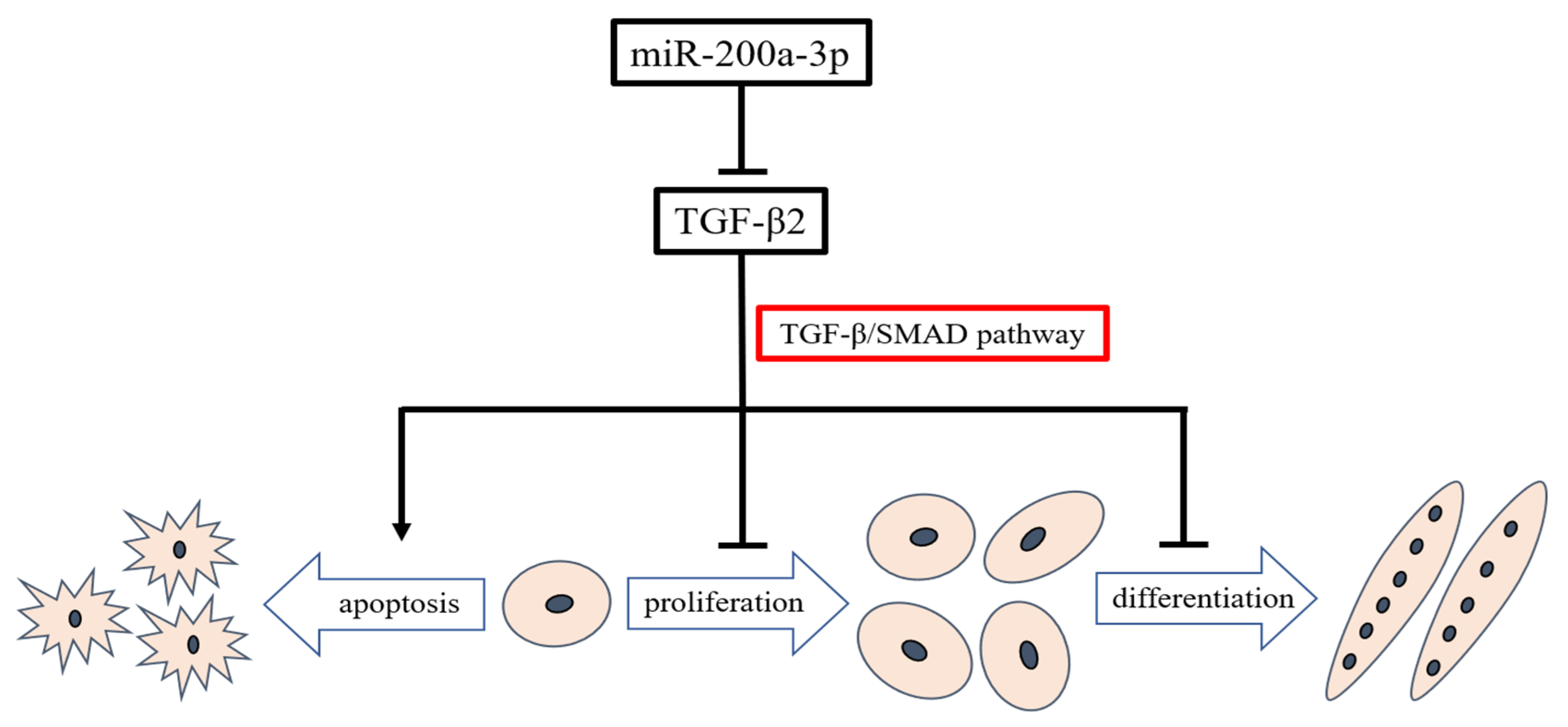 Ijms 21 03274 g011 Ijms 21 03274 g011