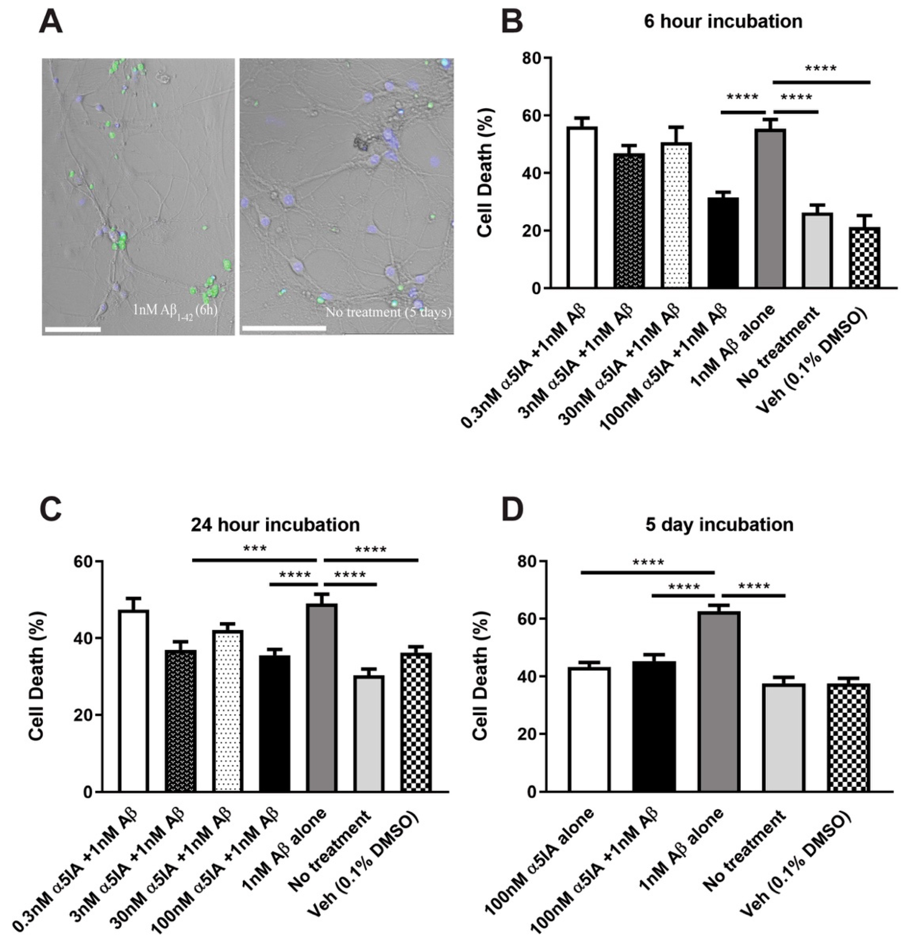 Ijms 21 03284 g001 Ijms 21 03284 g001
