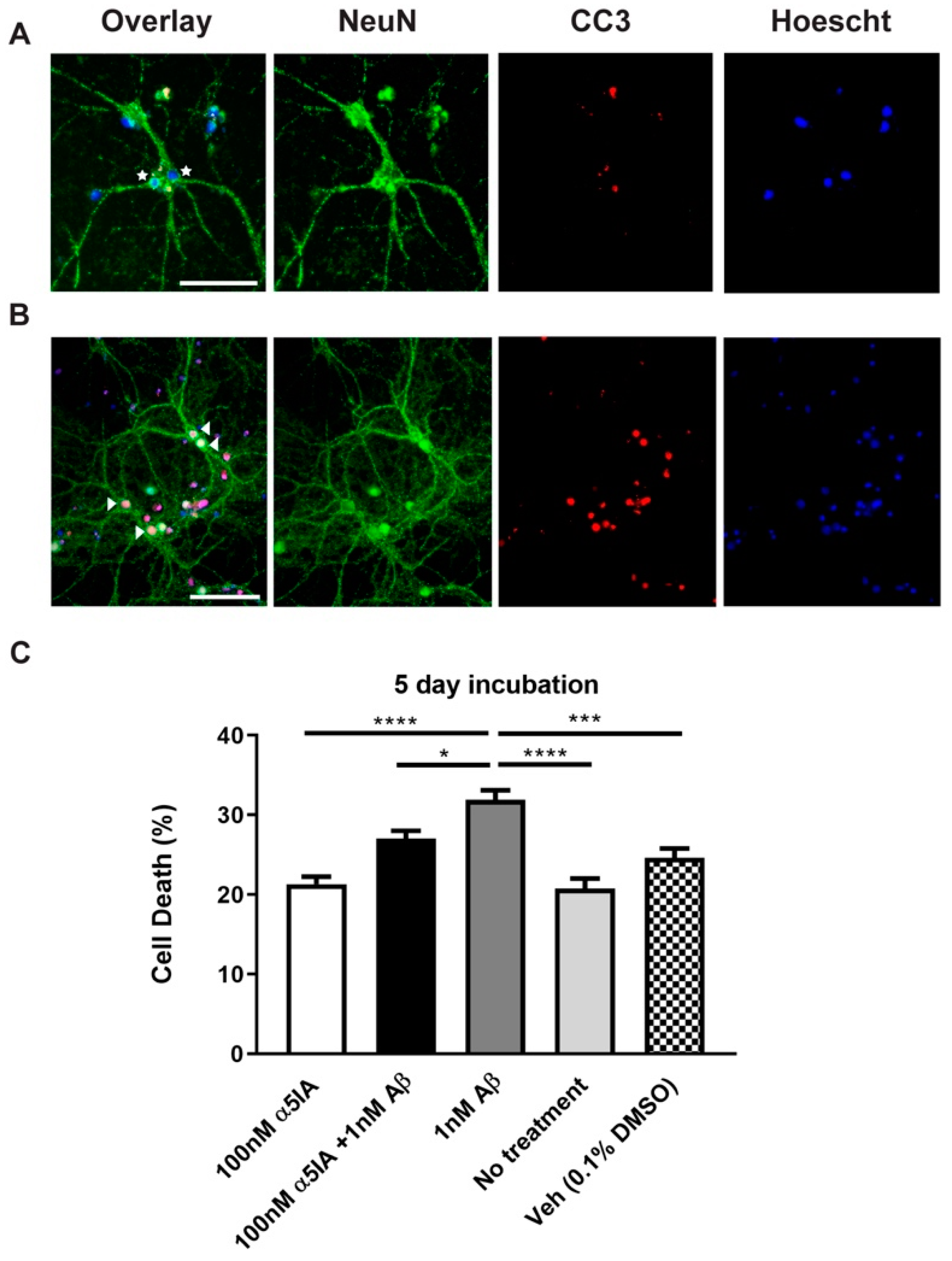 Ijms 21 03284 g003 Ijms 21 03284 g003