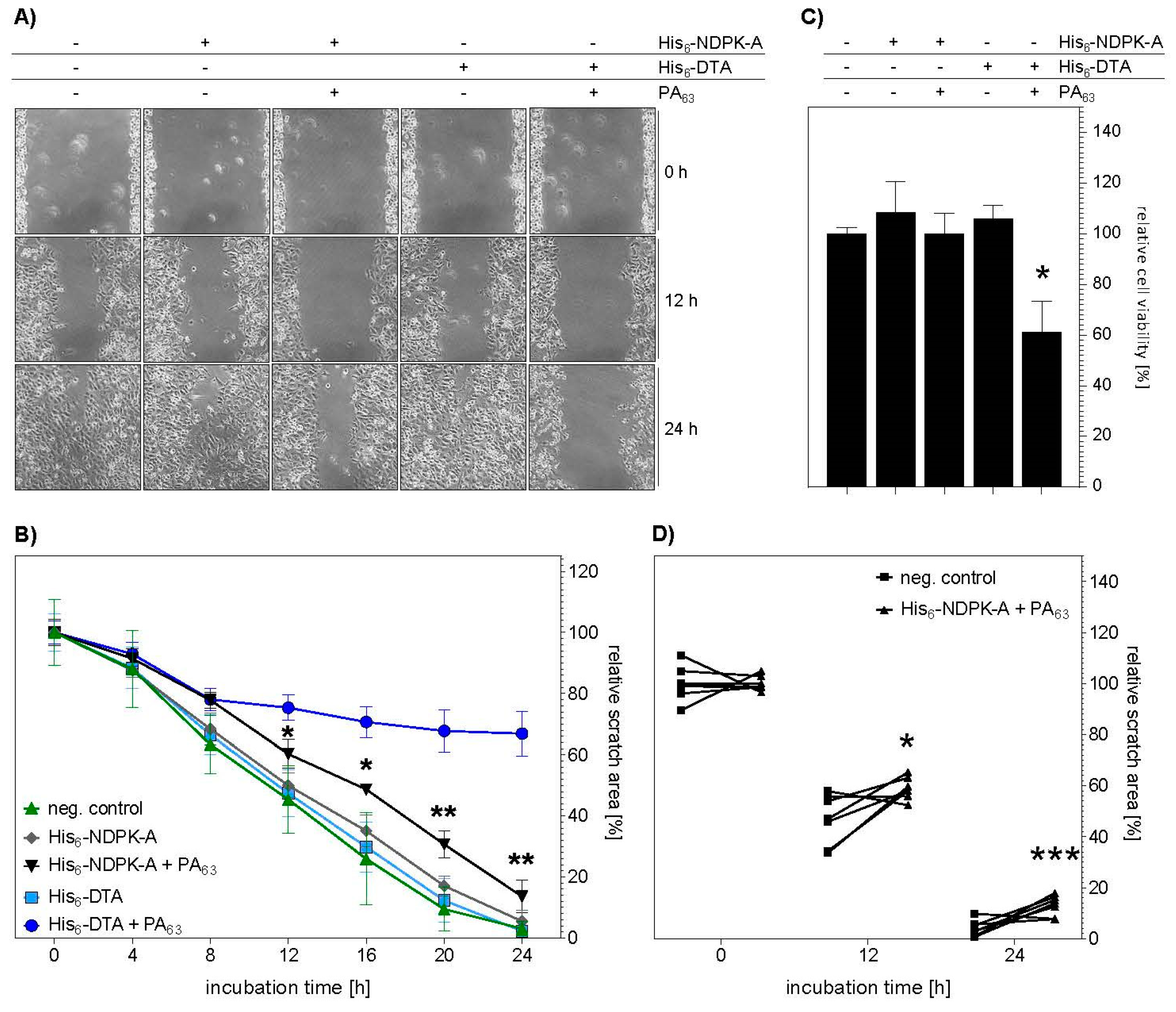 Ijms 21 03295 g007 Ijms 21 03295 g007