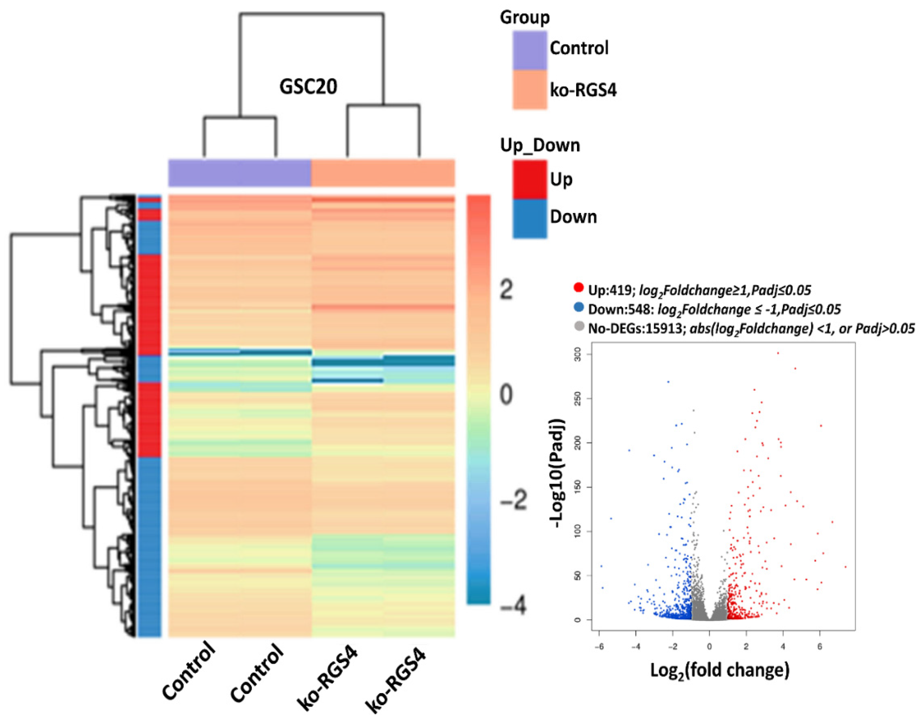 Ijms 21 03300 g002 Ijms 21 03300 g002