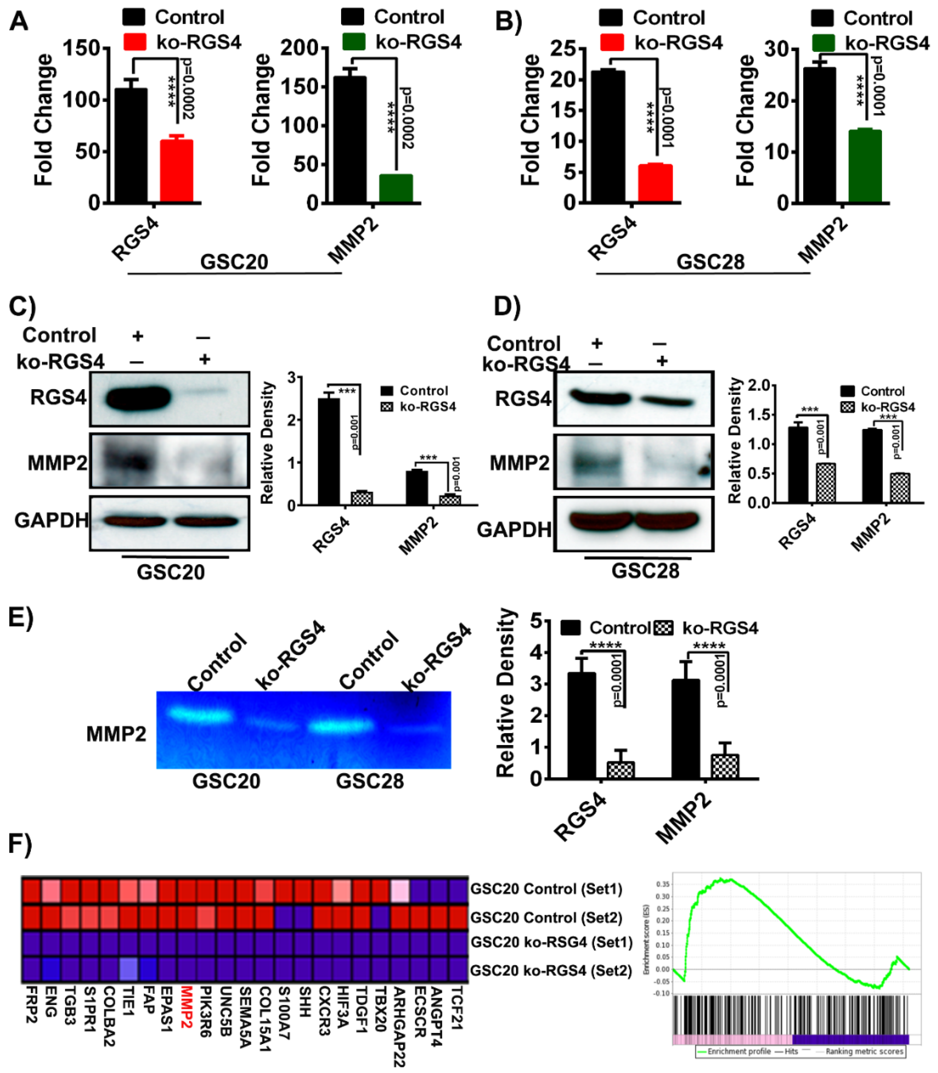 Ijms 21 03300 g004 Ijms 21 03300 g004