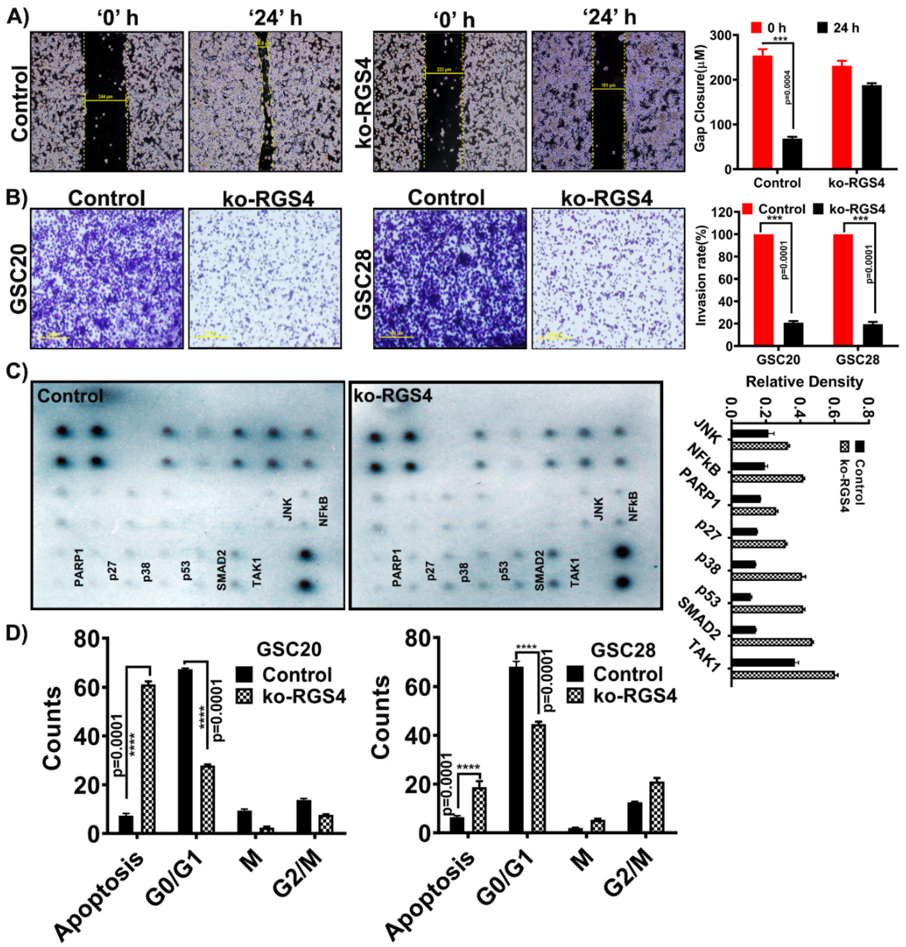 Ijms 21 03300 g005 Ijms 21 03300 g005