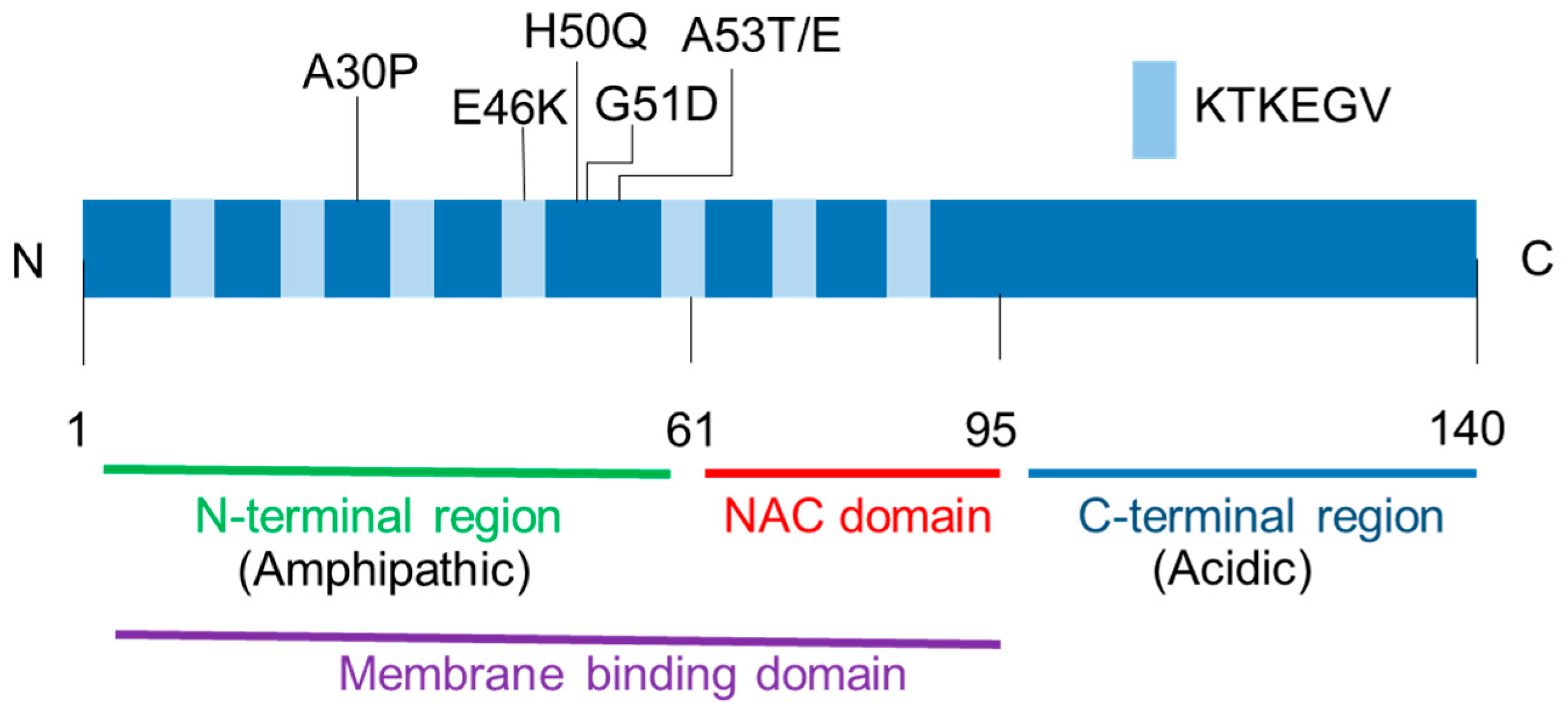 Ijms 21 03301 g001 Ijms 21 03301 g001