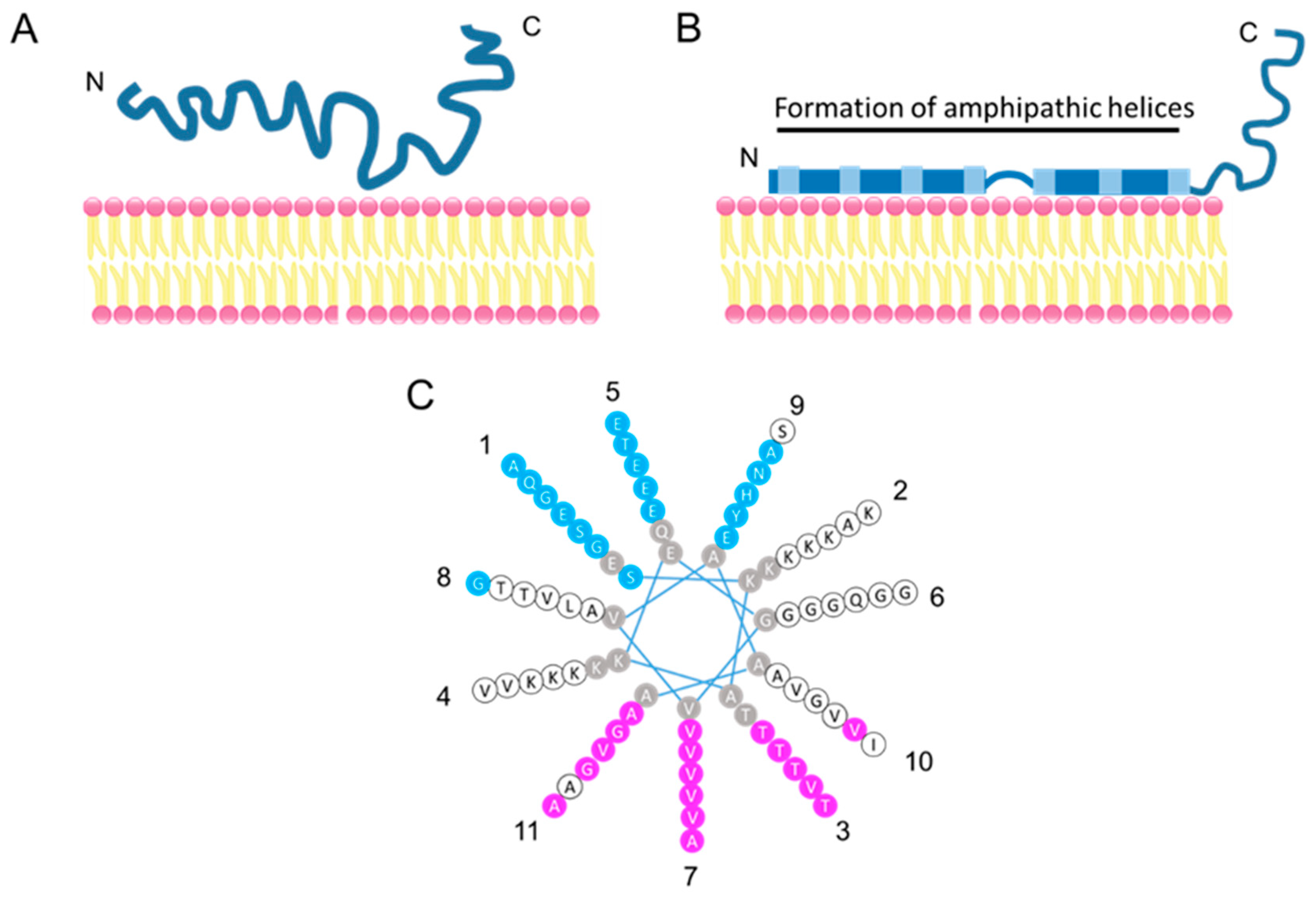 Ijms 21 03301 g002 Ijms 21 03301 g002