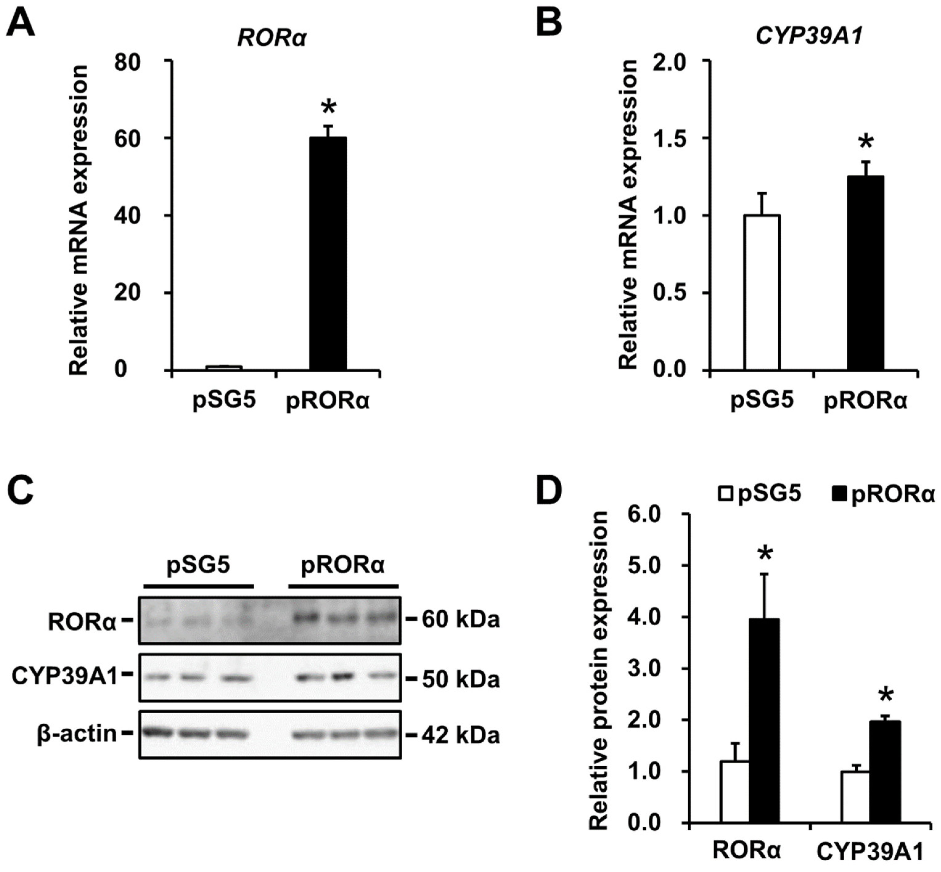 Ijms 21 03309 g003 Ijms 21 03309 g003