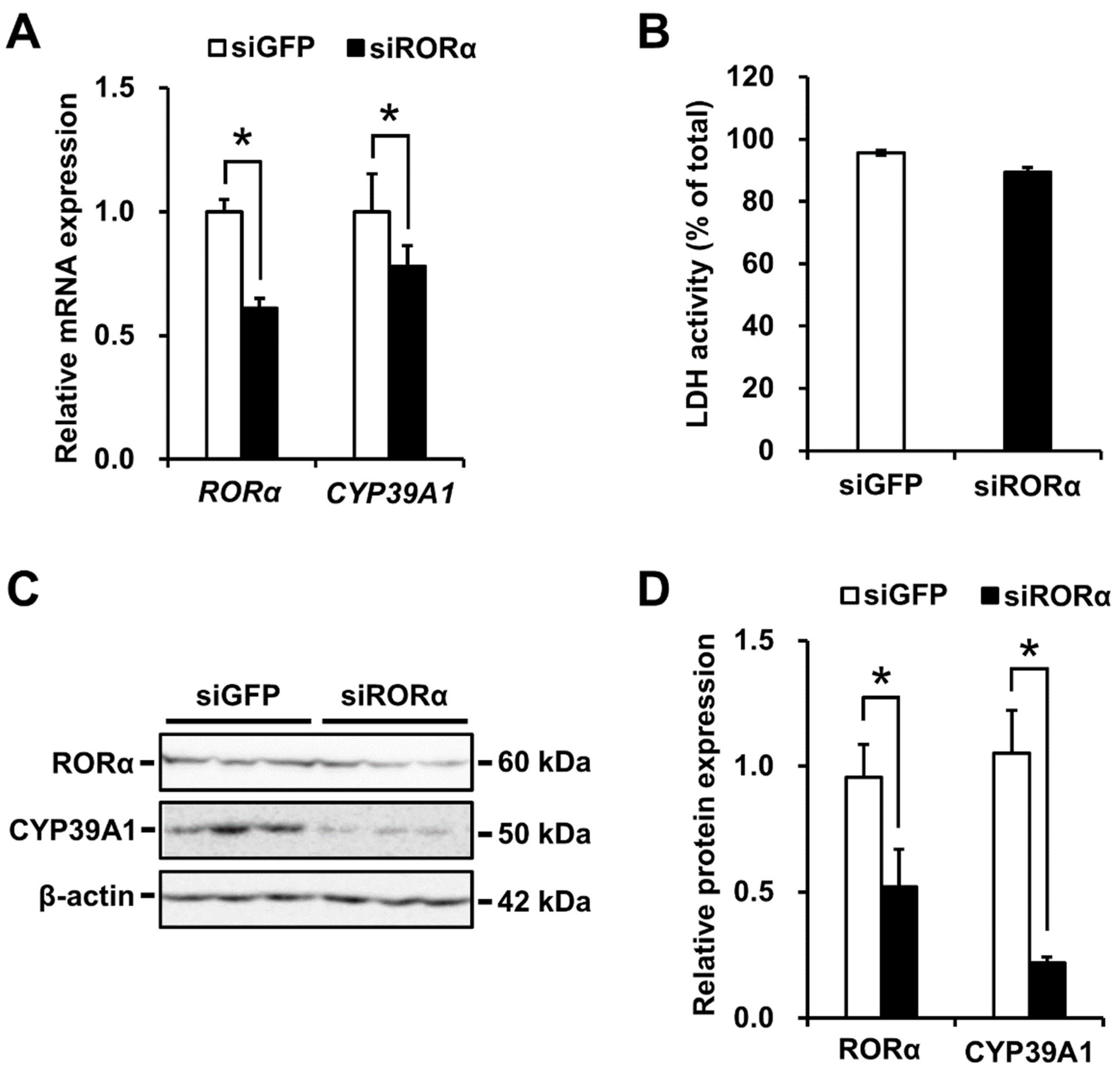 Ijms 21 03309 g004 Ijms 21 03309 g004