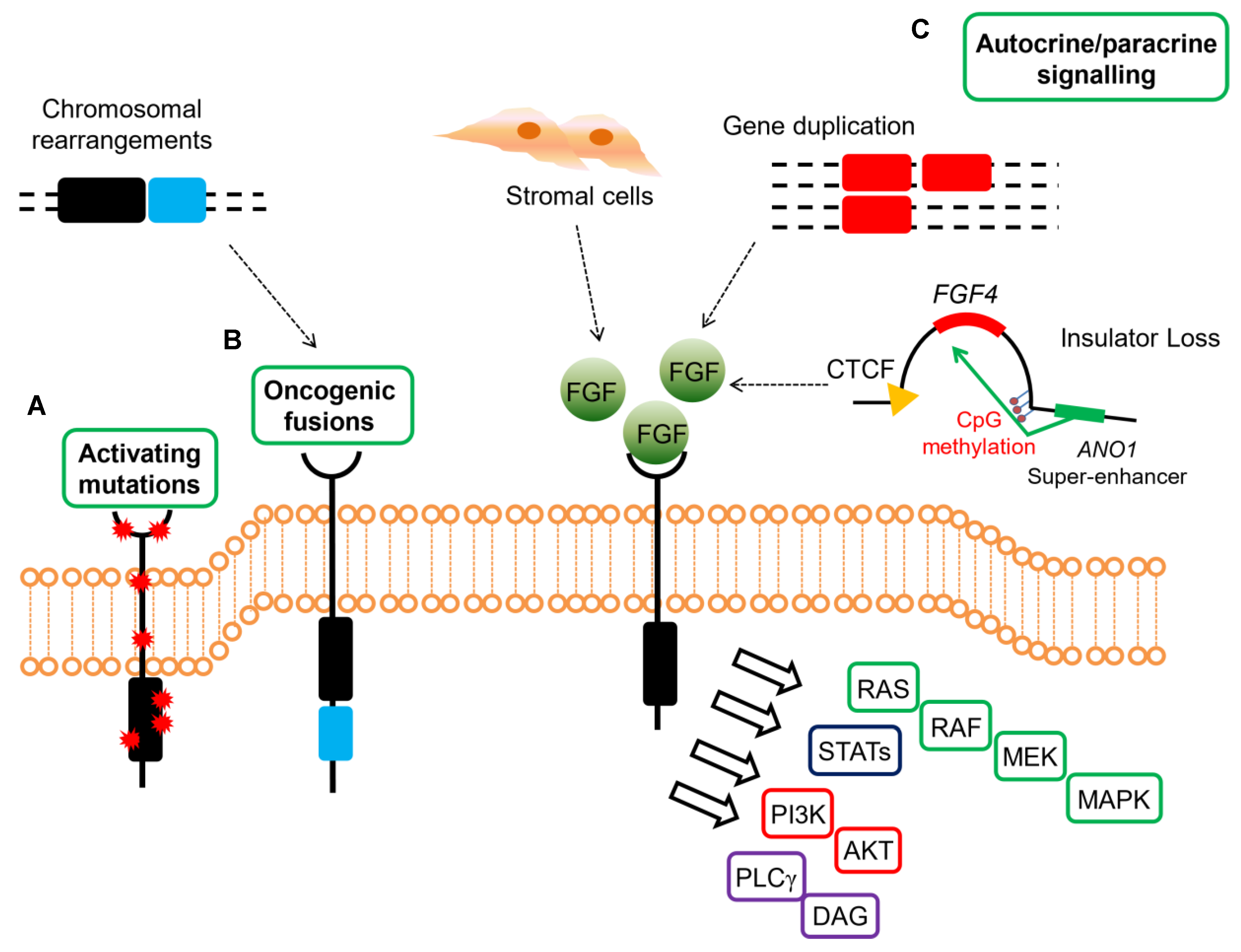 Ijms 21 03313 g002 Ijms 21 03313 g002