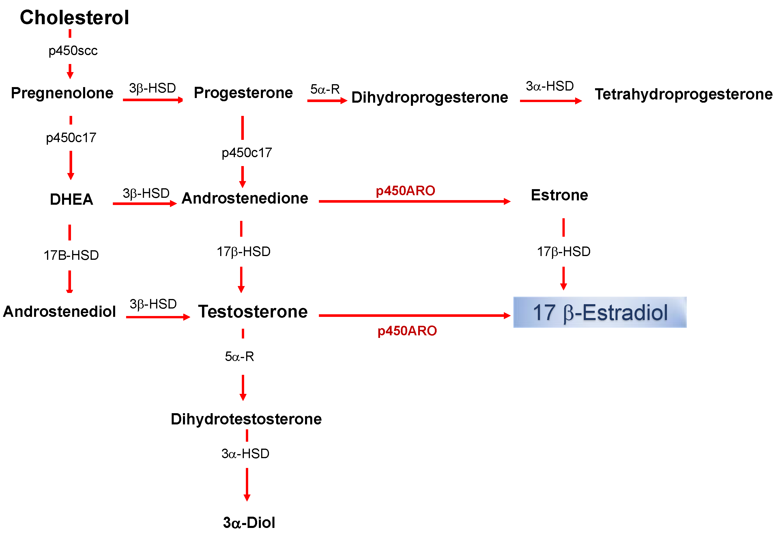 ijms-21-03316-g001.png