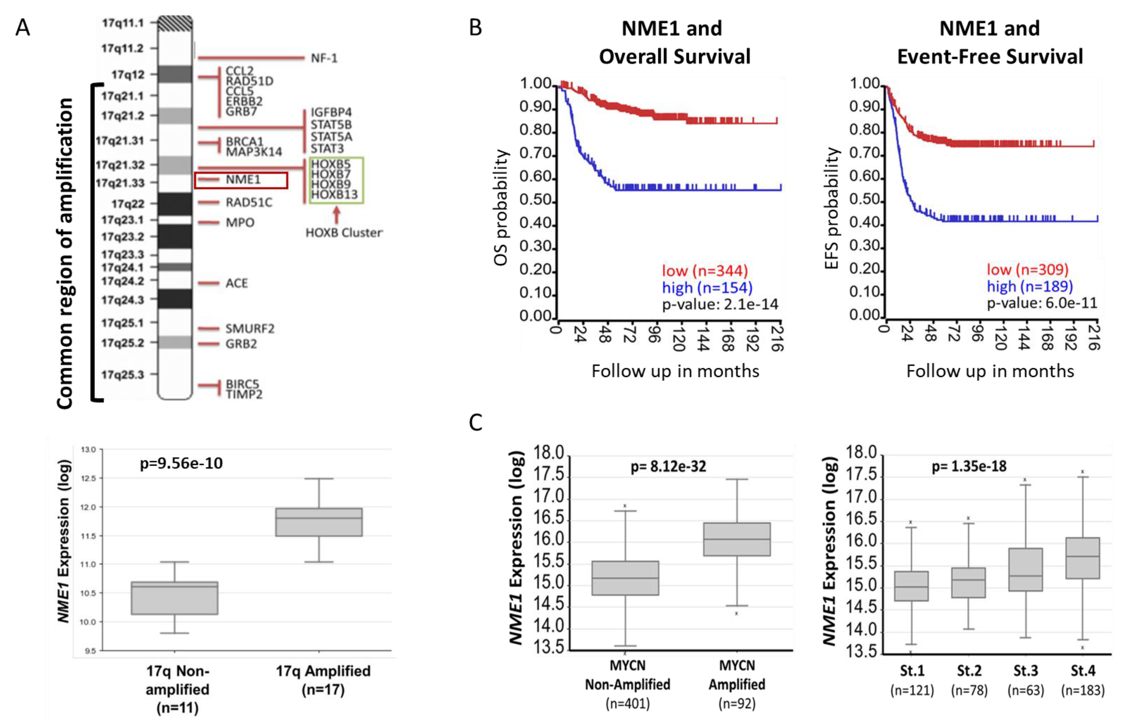 Ijms 21 03319 g001 Ijms 21 03319 g001